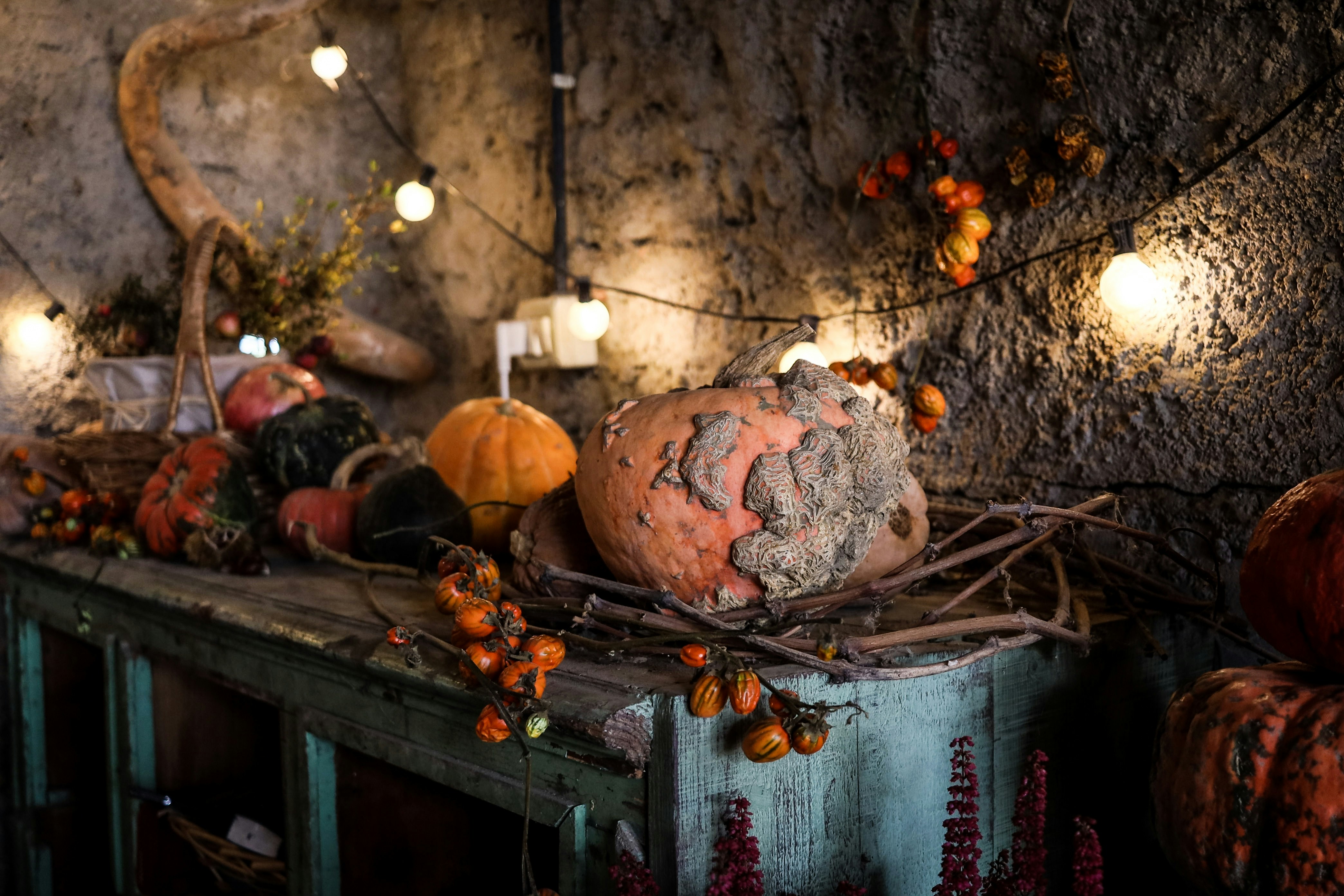 Eine Gruppe von Kürbissen auf einem Regal