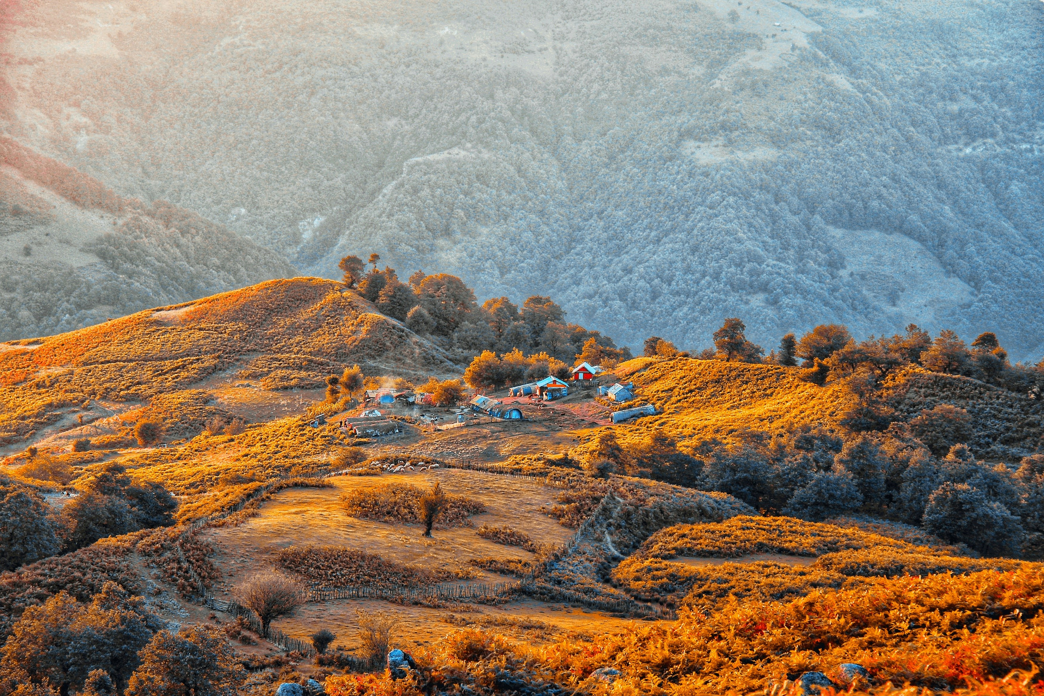 Photo by moradimaghsoud