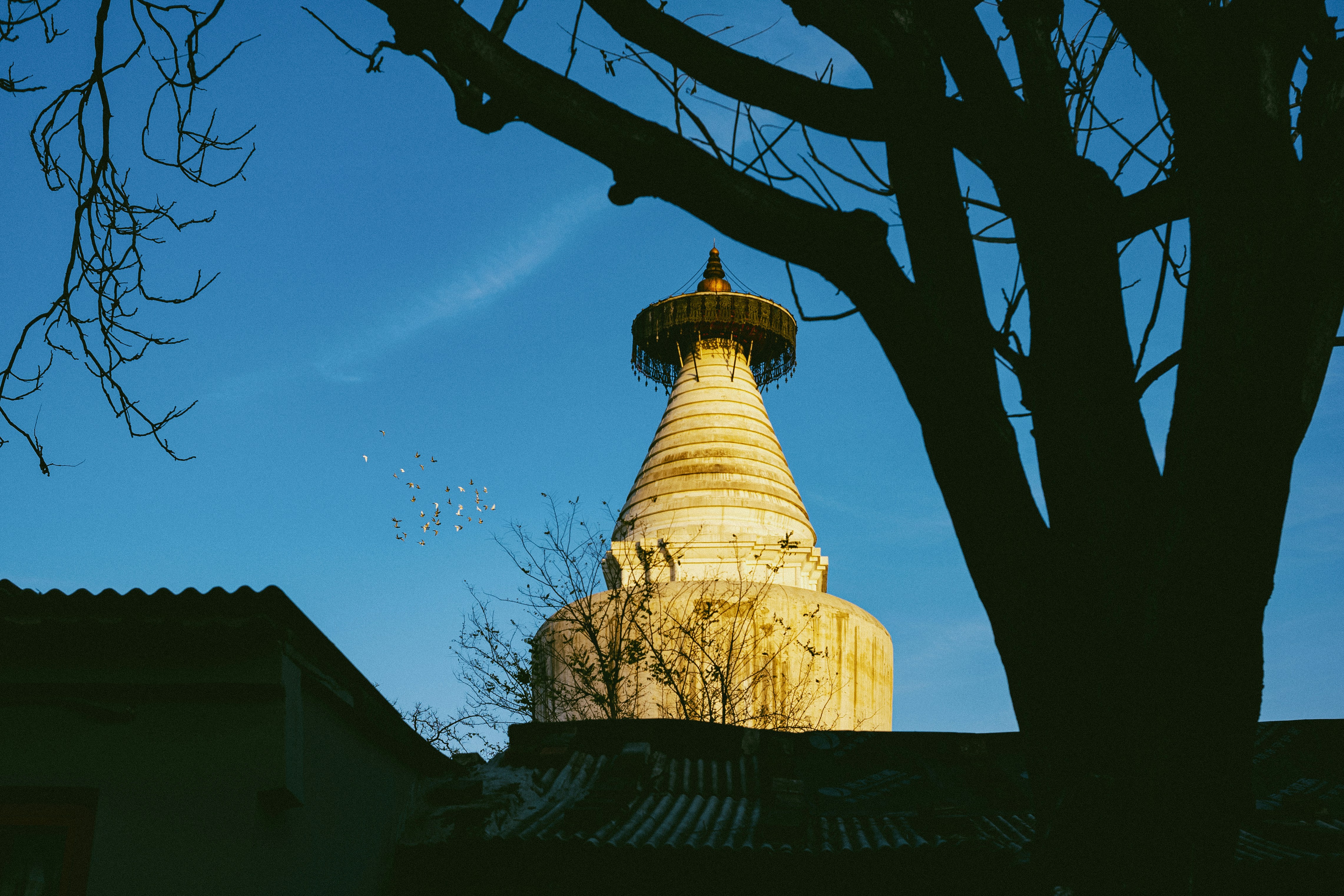 Photo by tommaomaoer