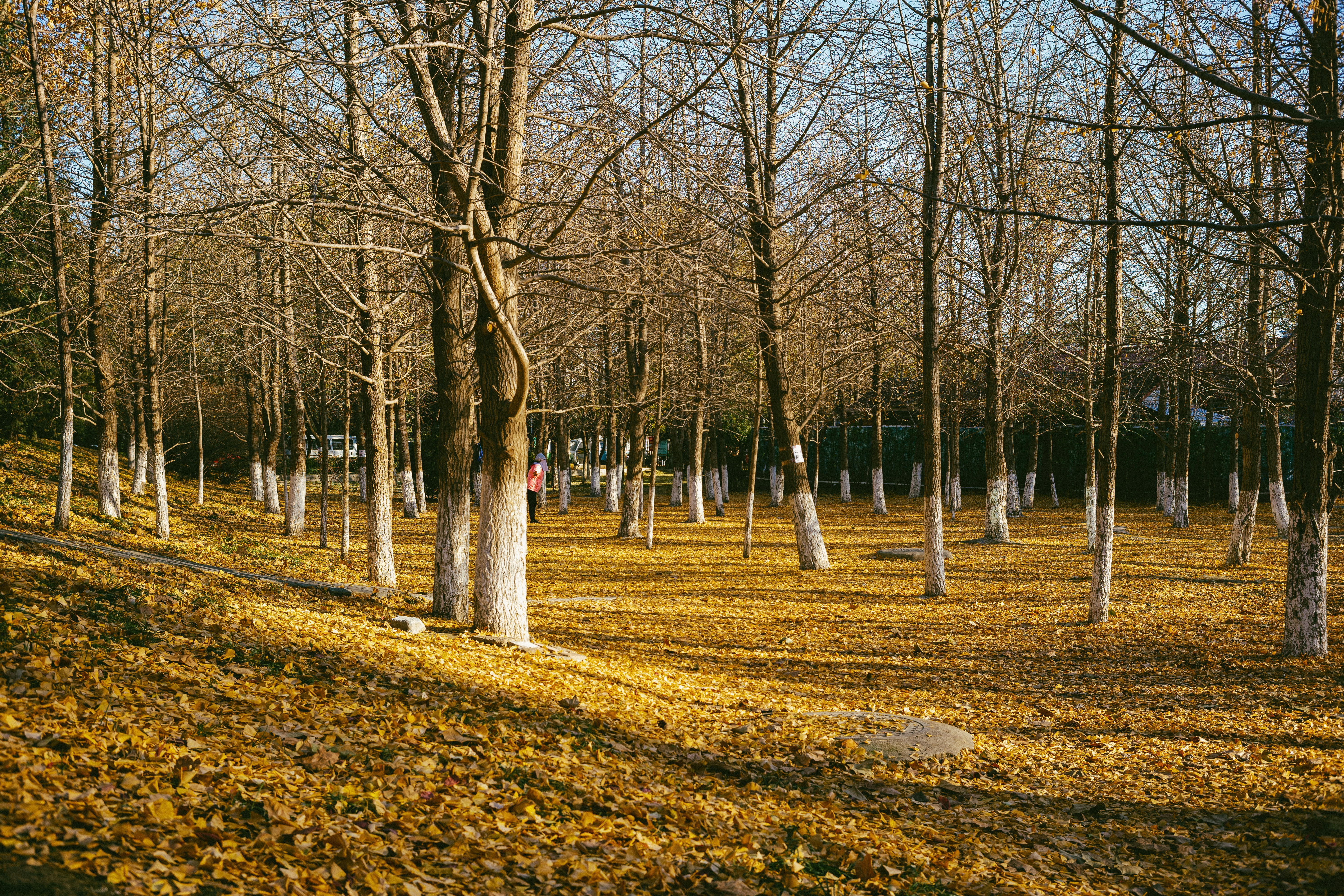 Photo by tommaomaoer