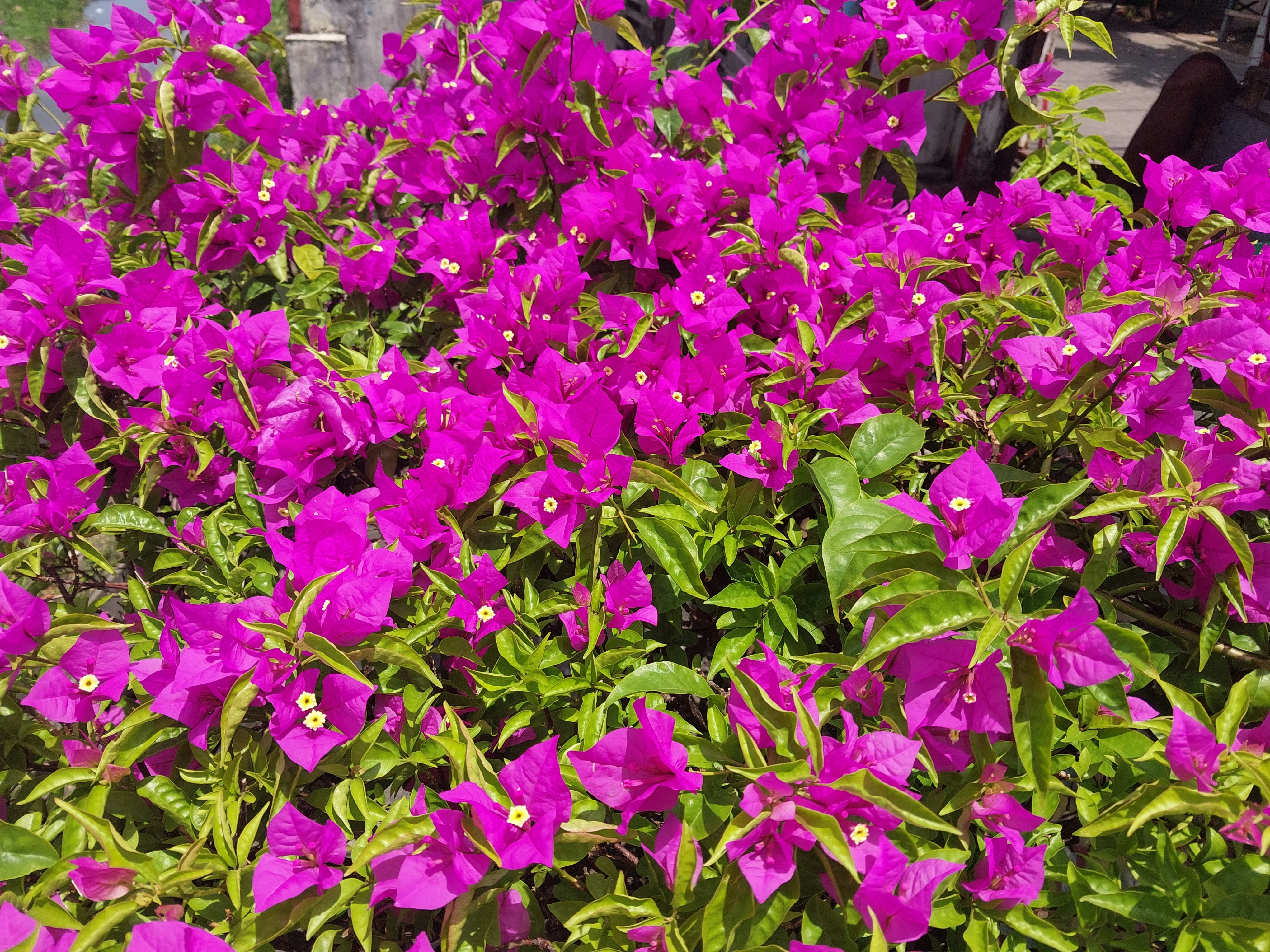 Photo by nindyanggita