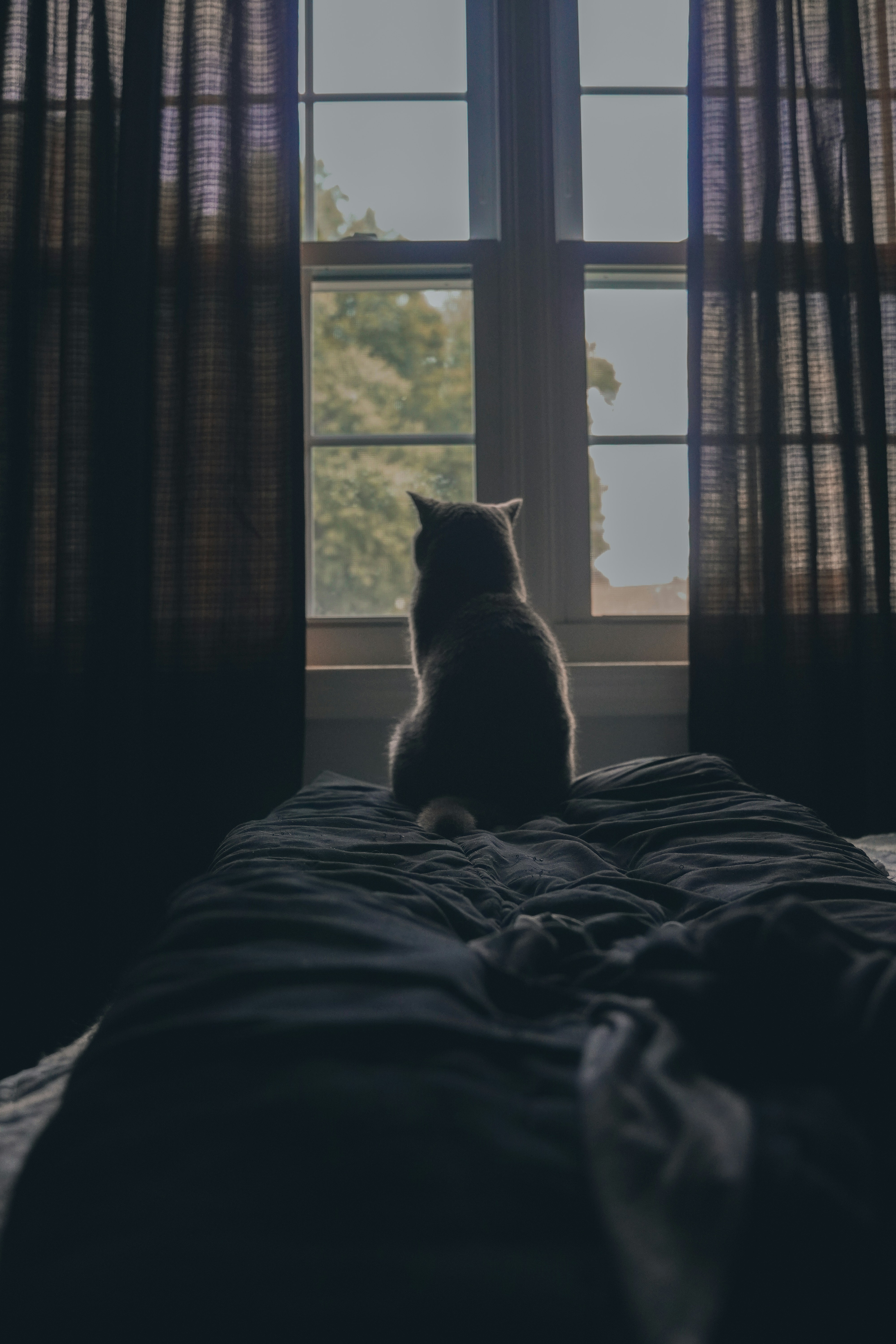 Photo by abdullah466