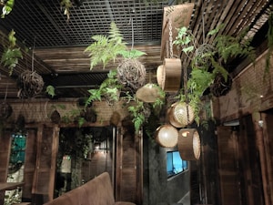 An indoor setting featuring wooden and wicker elements with hanging spherical lamps and lush green plants. The ceiling and walls are adorned with wooden slats and grid structures, giving a rustic and natural ambiance.