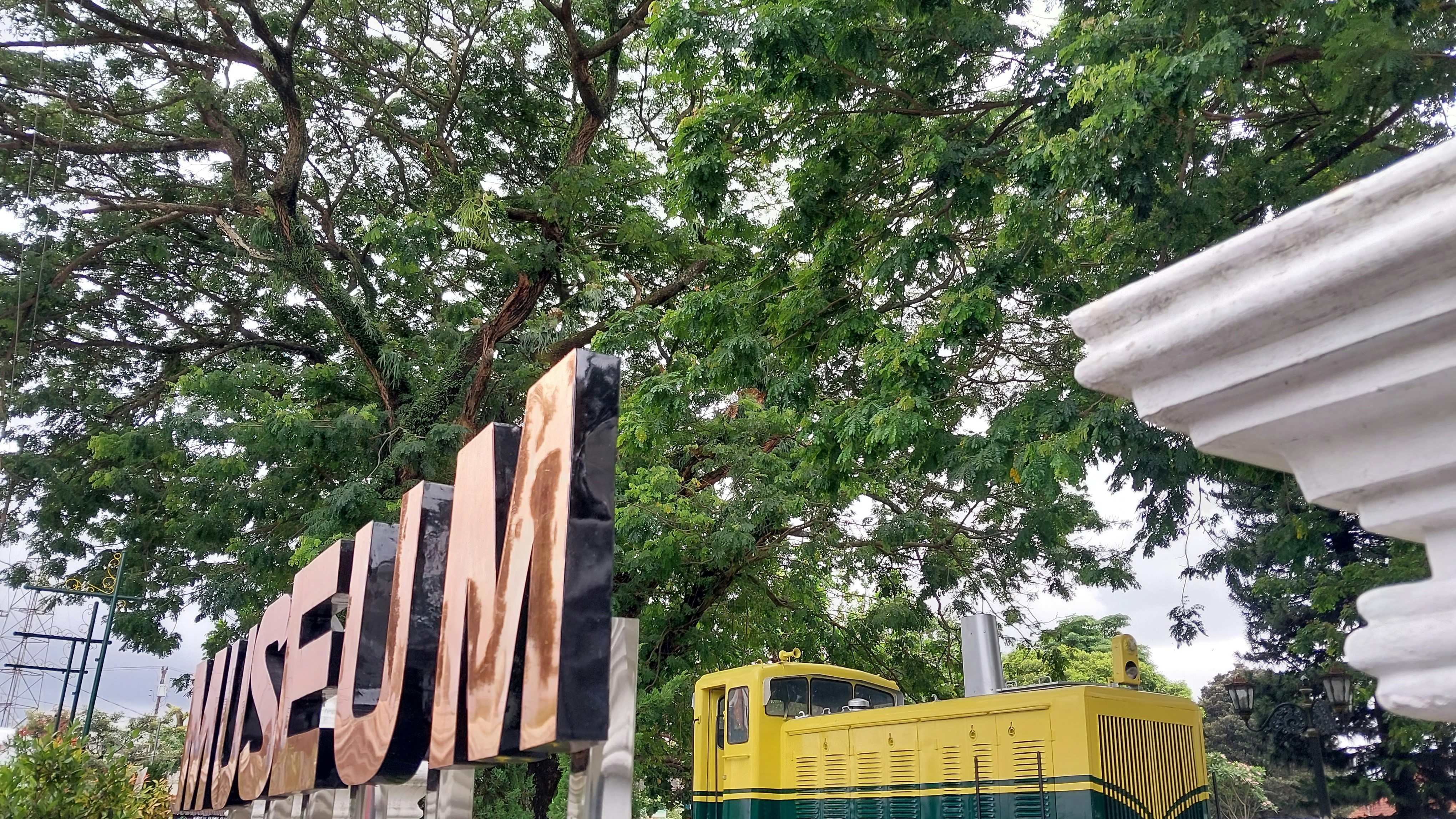 a yellow bus parked next to a tree