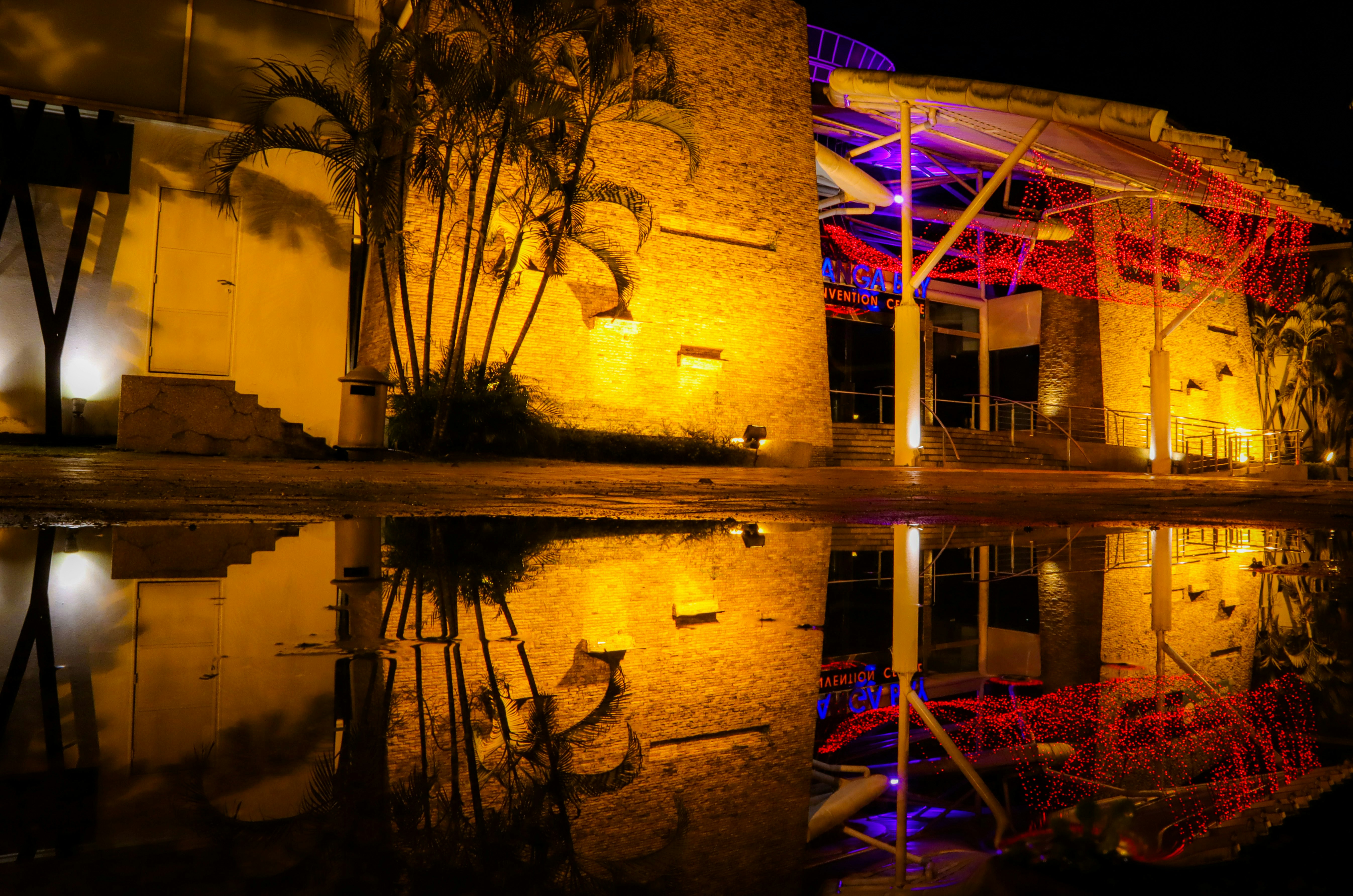 Photo by bookworm513