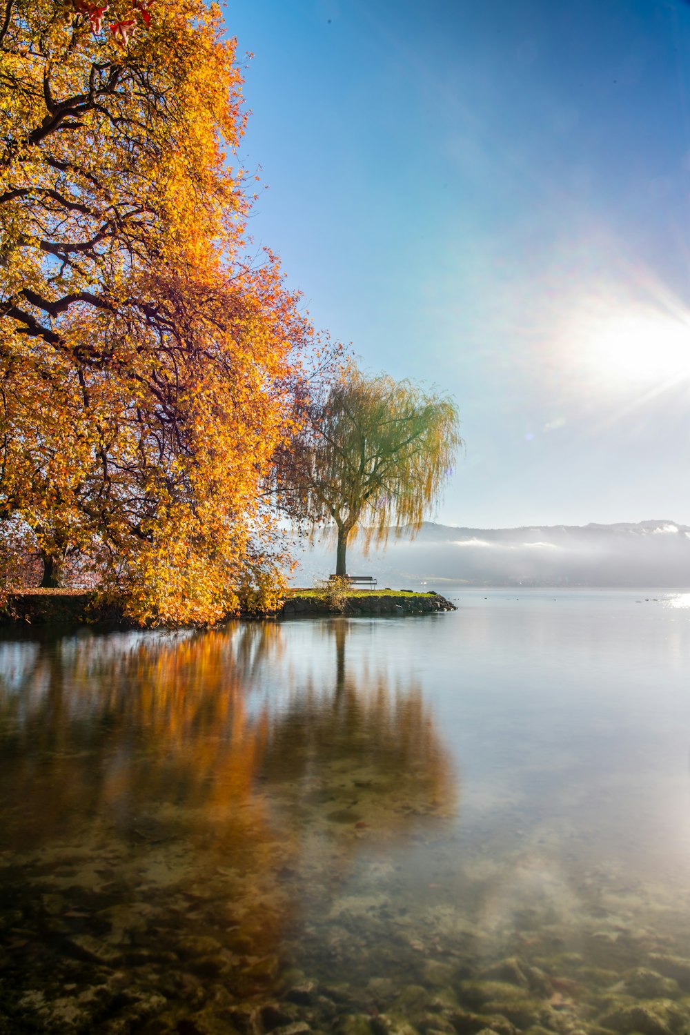 a body of water with trees around it