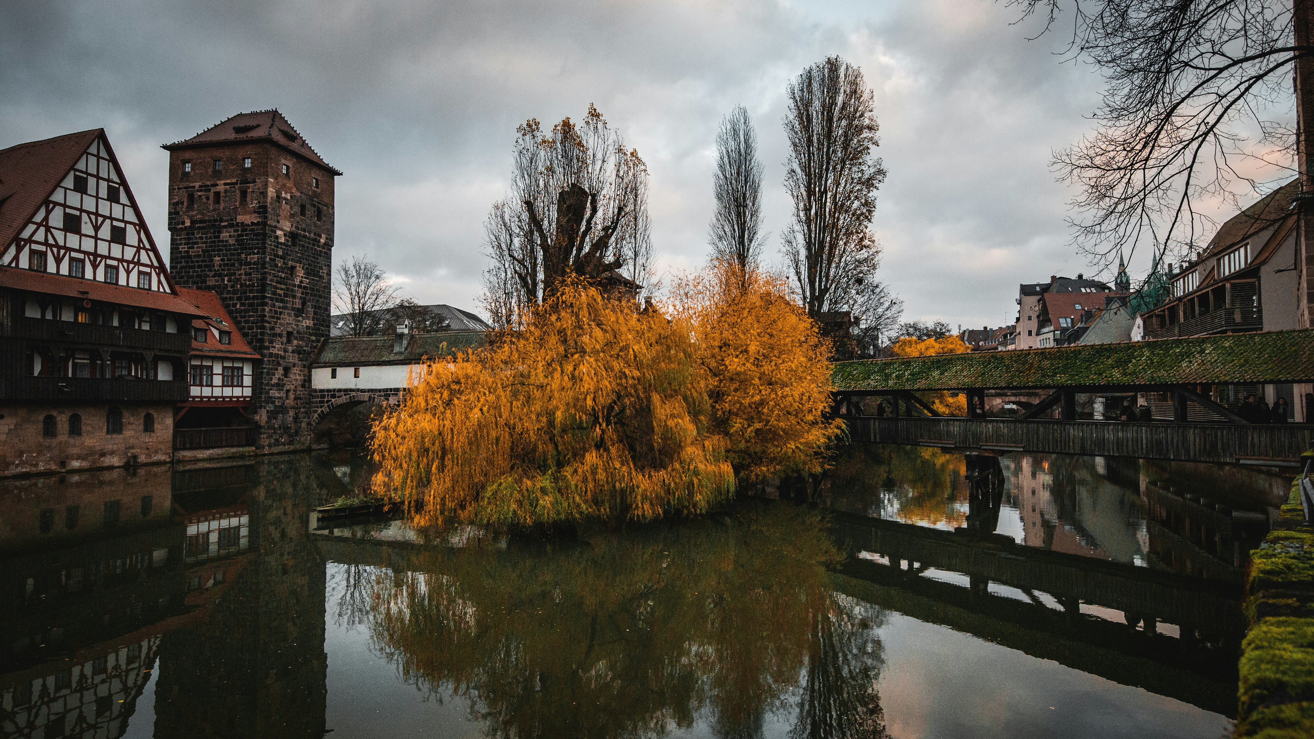 a body of water with buildings and trees around it
