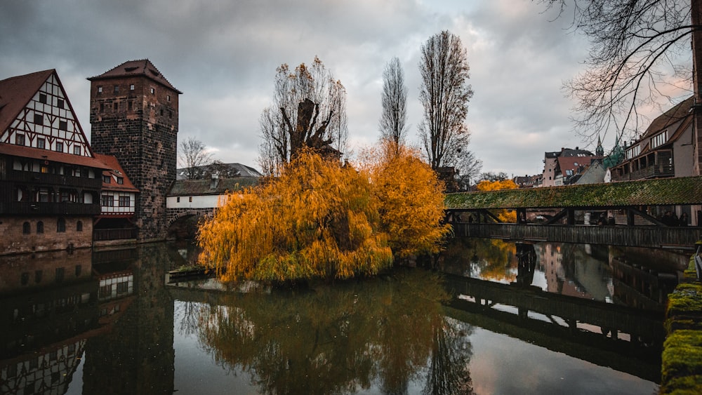 a body of water with buildings and trees around it