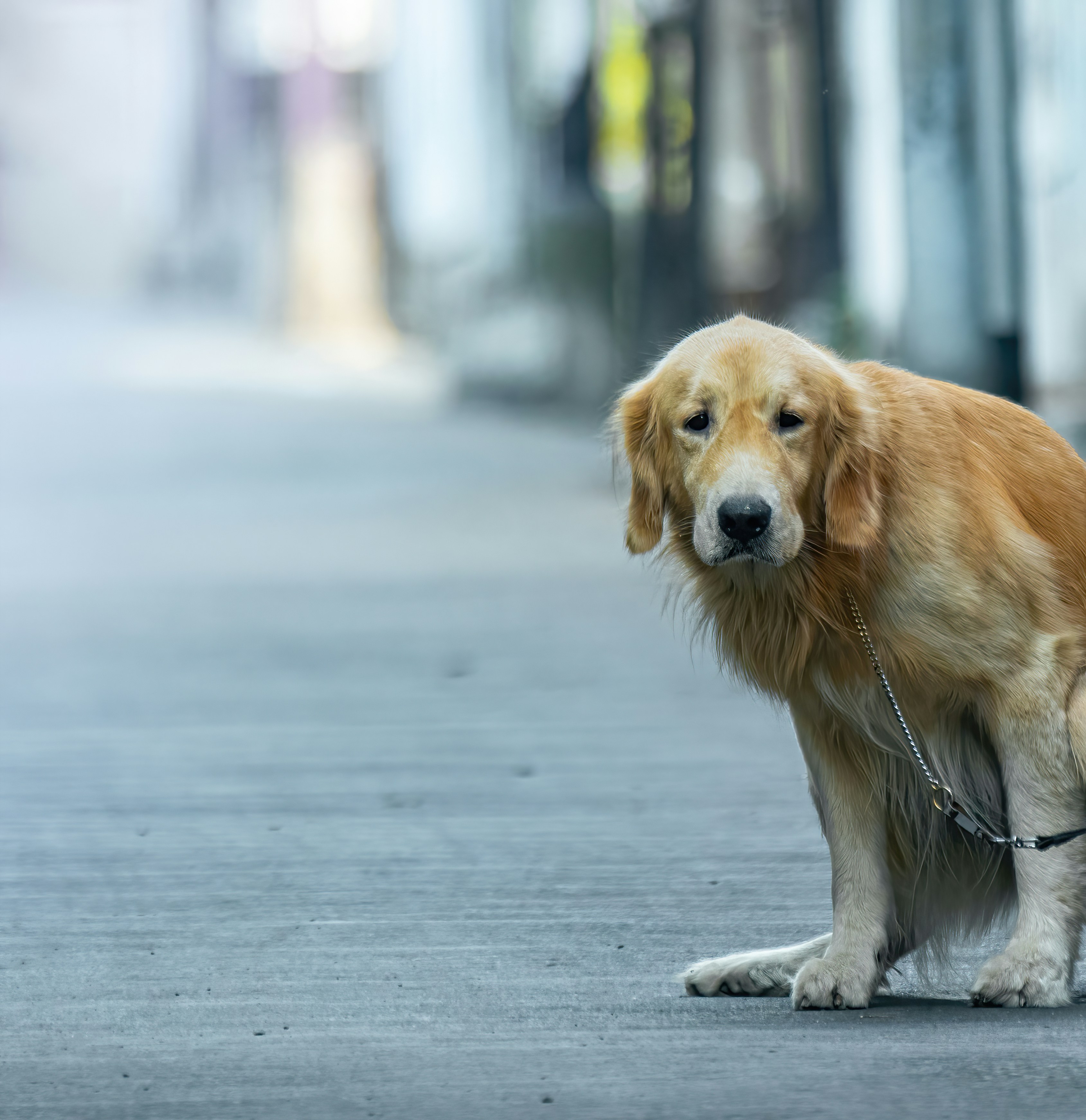 Photo by arnab_dey_photography