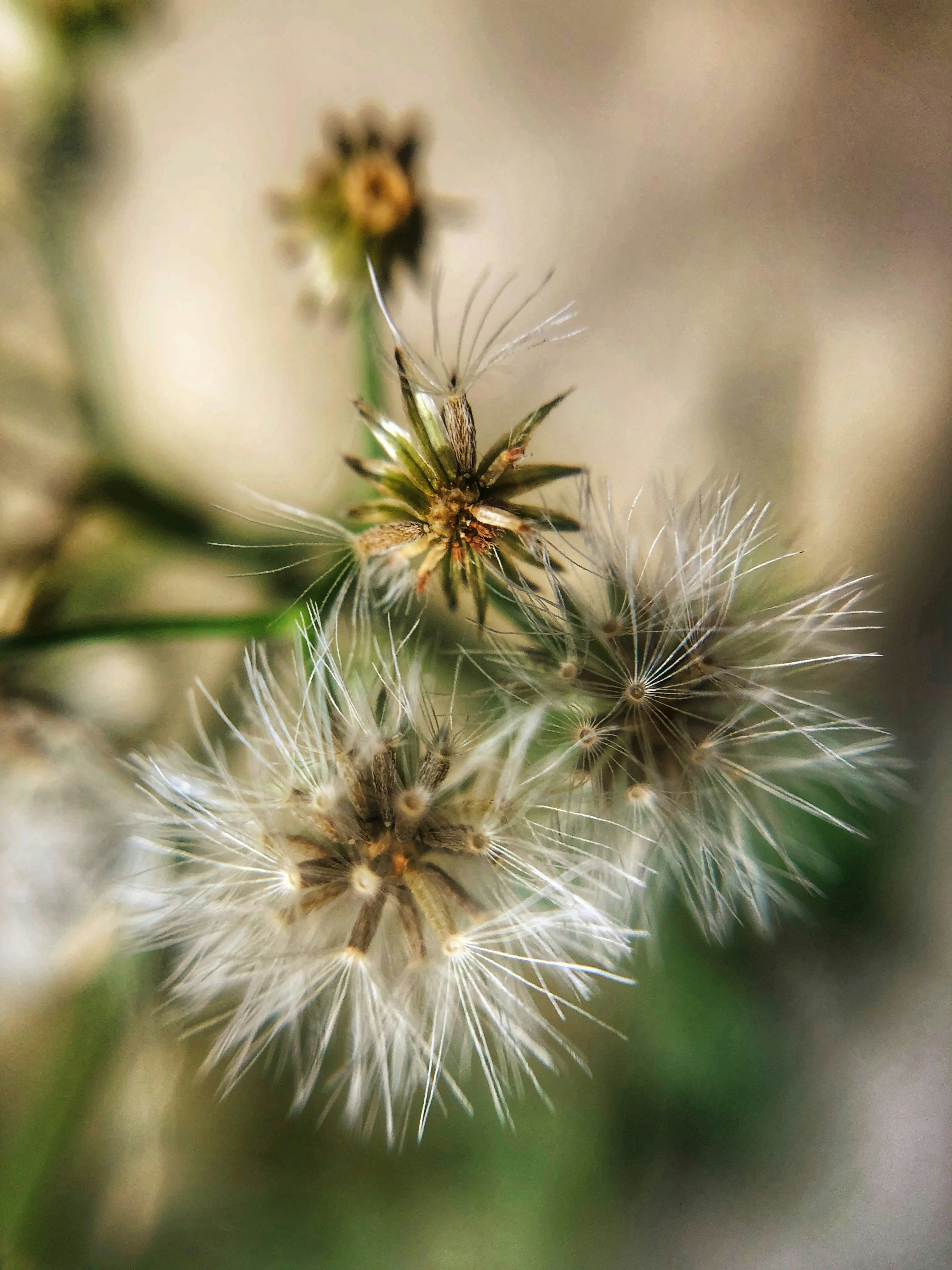 Photo by eden_afolayan