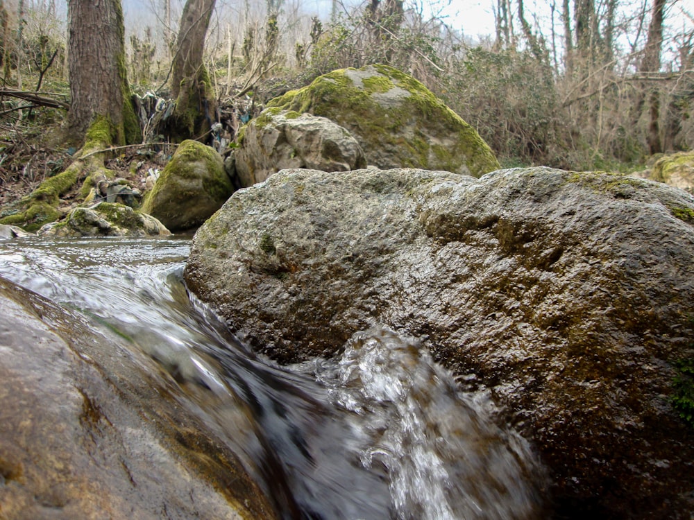 바위와 나무가있는 강