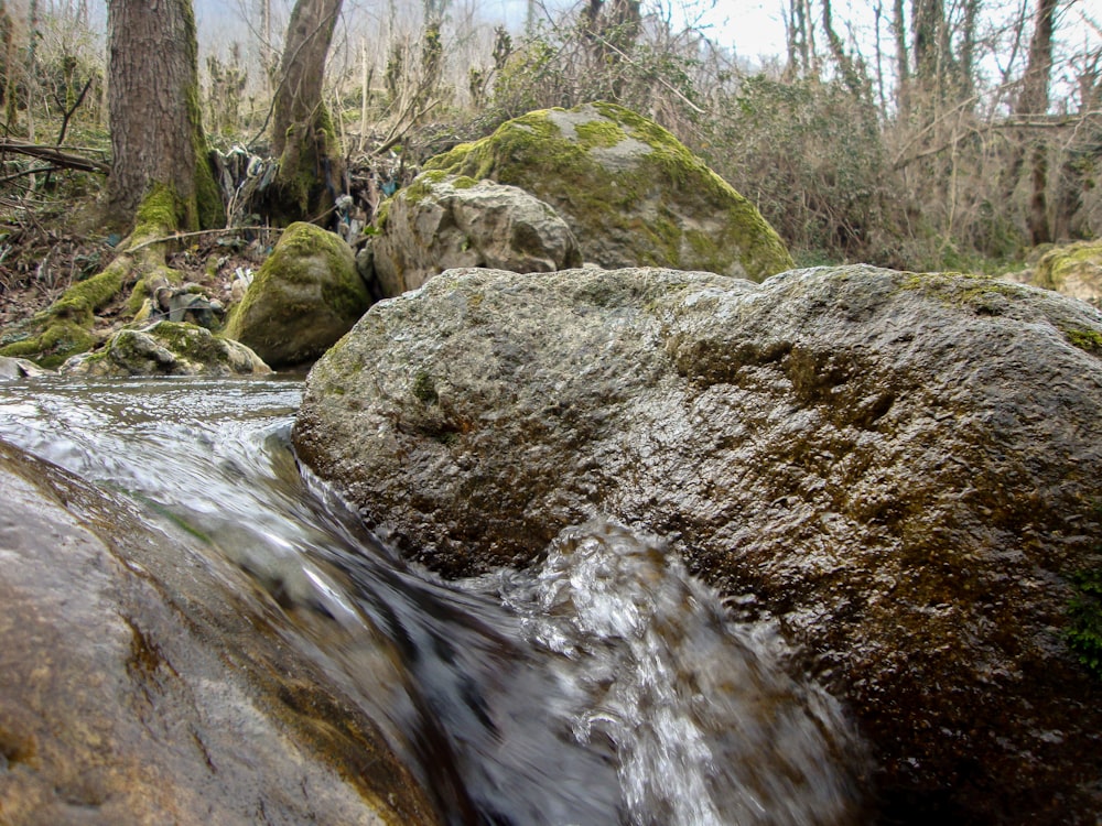 a river with rocks and trees