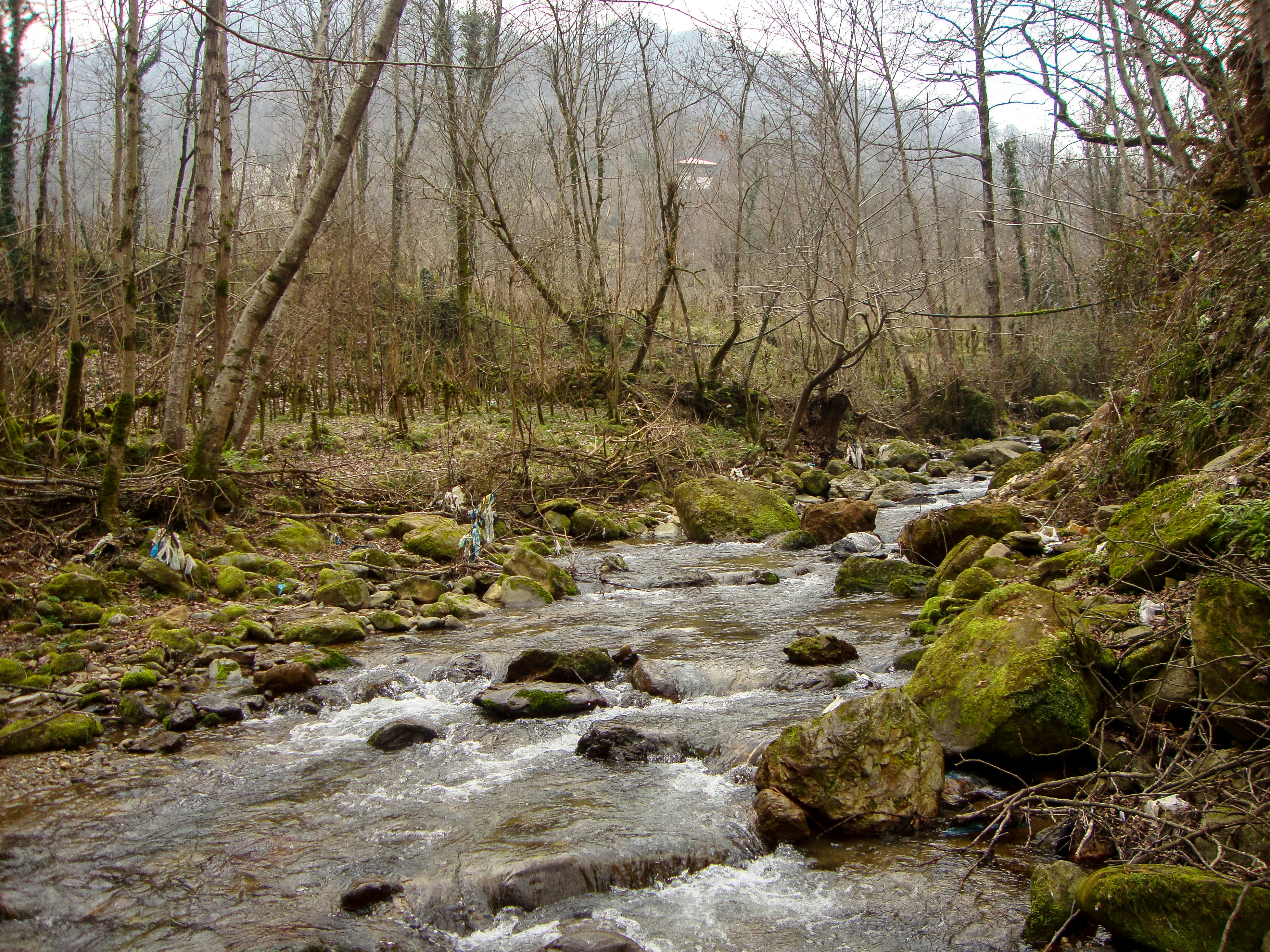 Photo by alirezaakhlaghiofficial