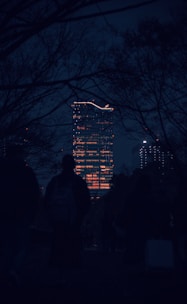 Evening view of a high-rise building illuminated in city lights.