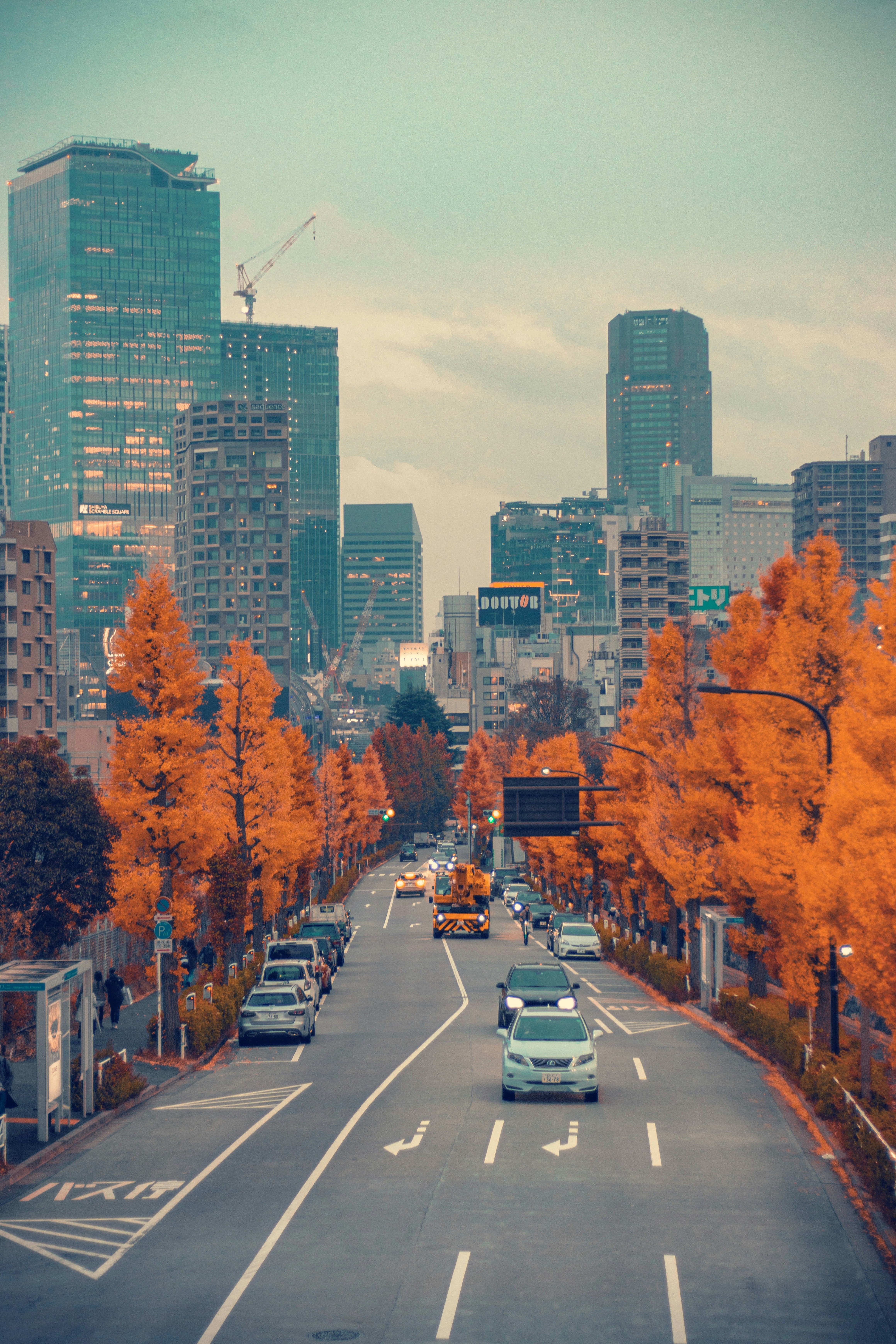 Photo by guoziyu111