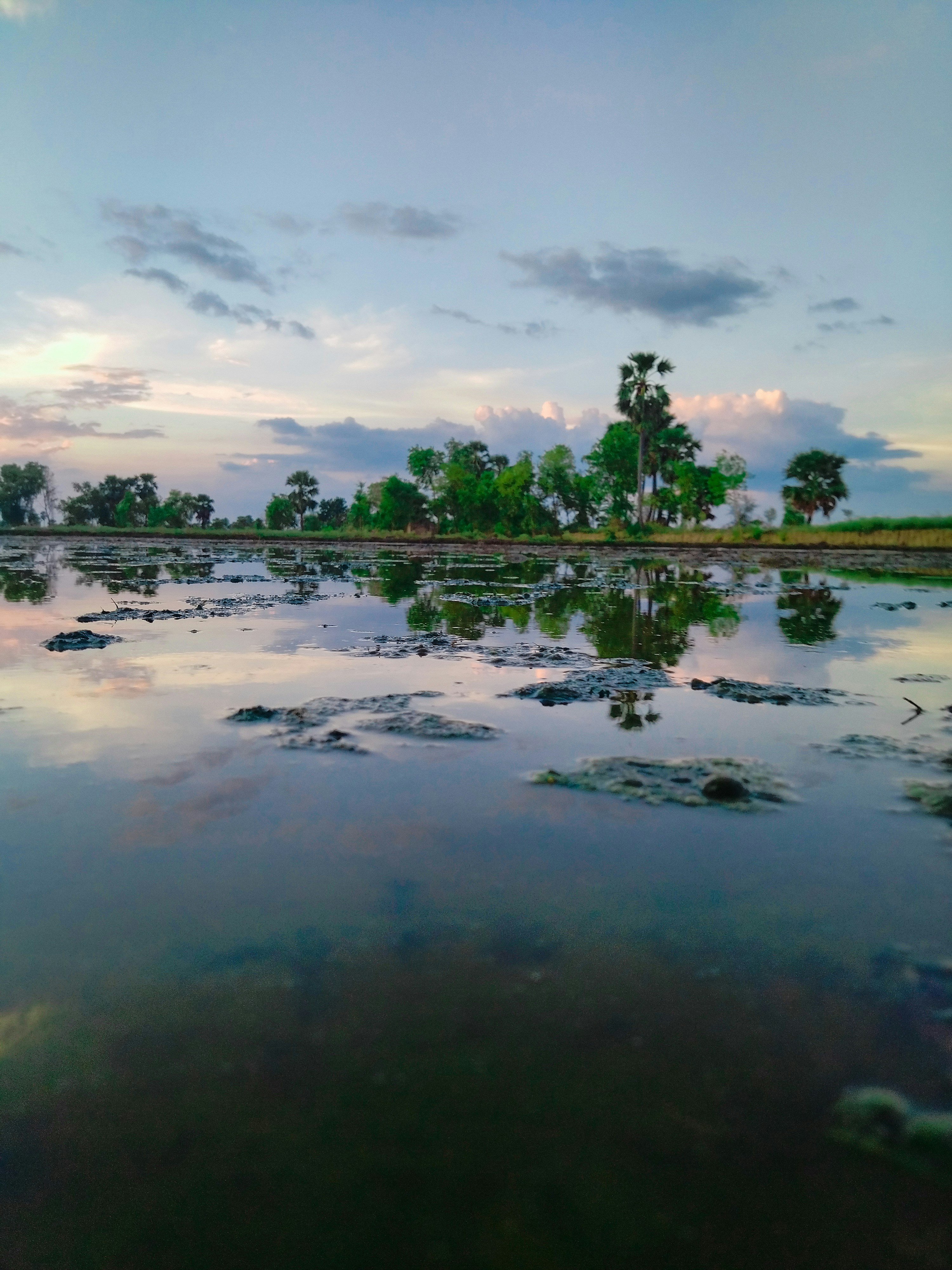 Photo by sumit0119