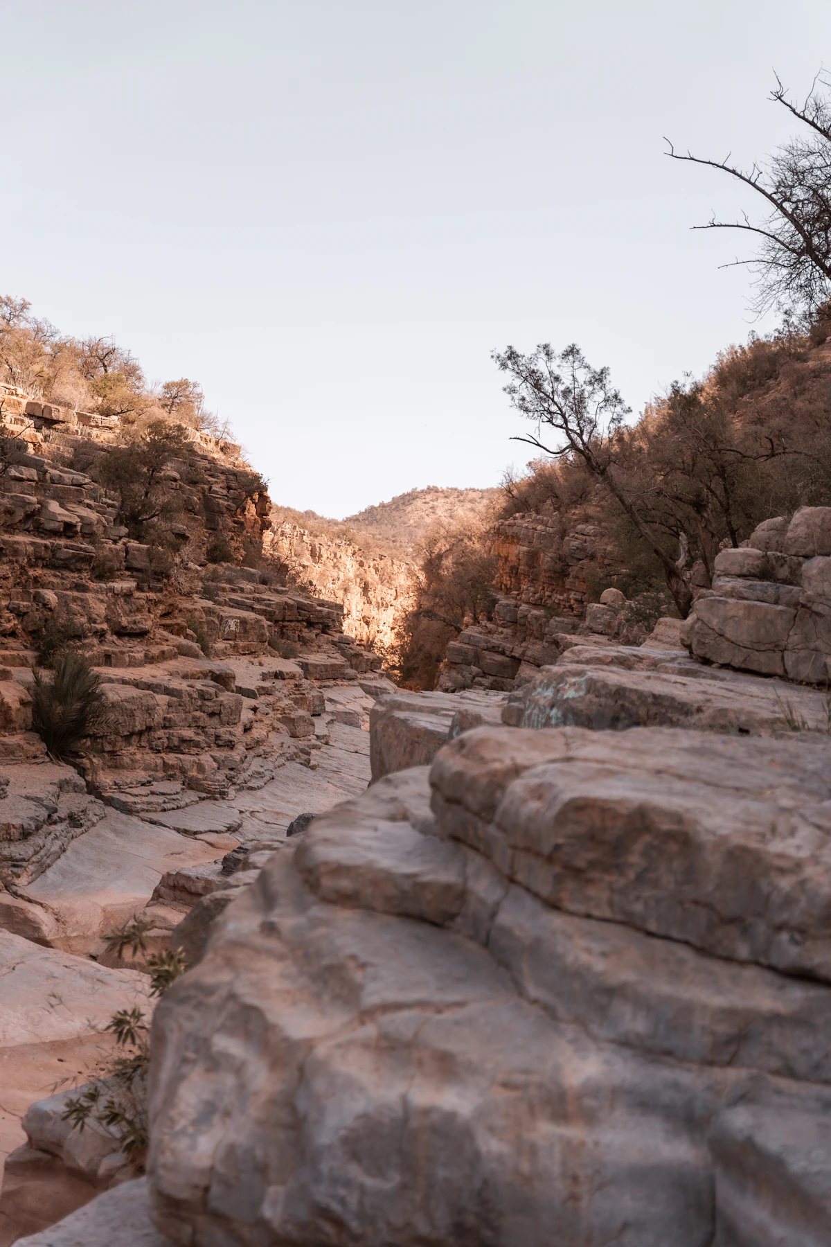 Paradise Valley, Agadir