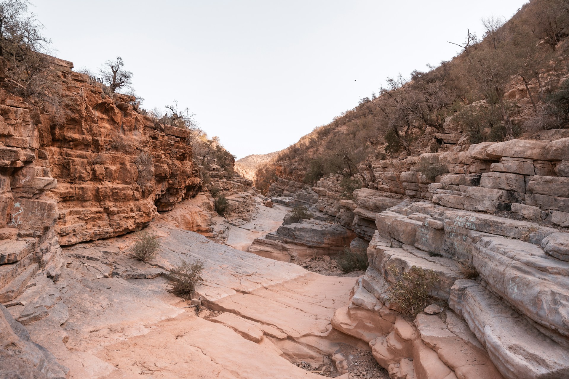 a rocky canyon with a river running through it