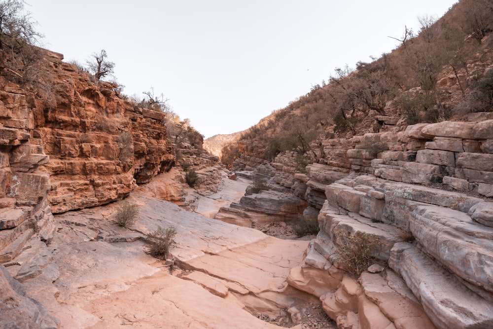 a rocky canyon with a river running through it