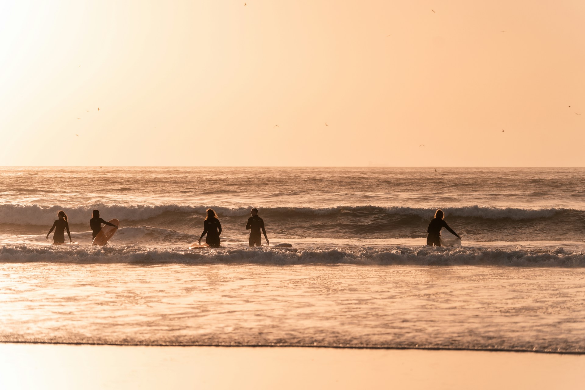 a group of surfers in the ocean