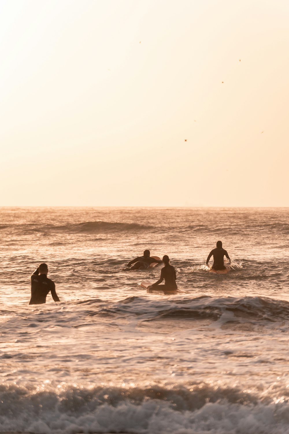 바다에서 서핑하는 사람들의 그룹