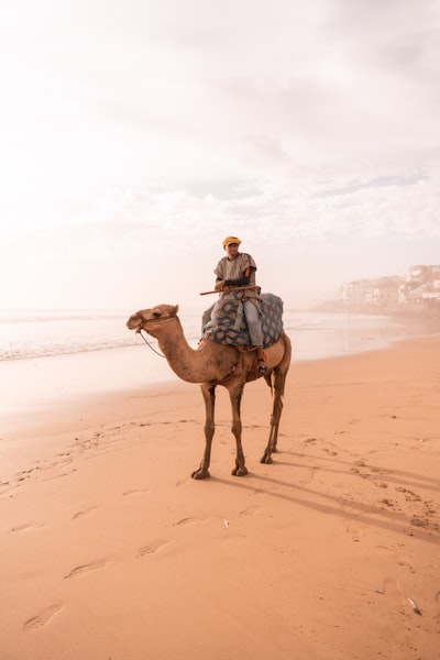 A person riding a camel on a beach in Morocco