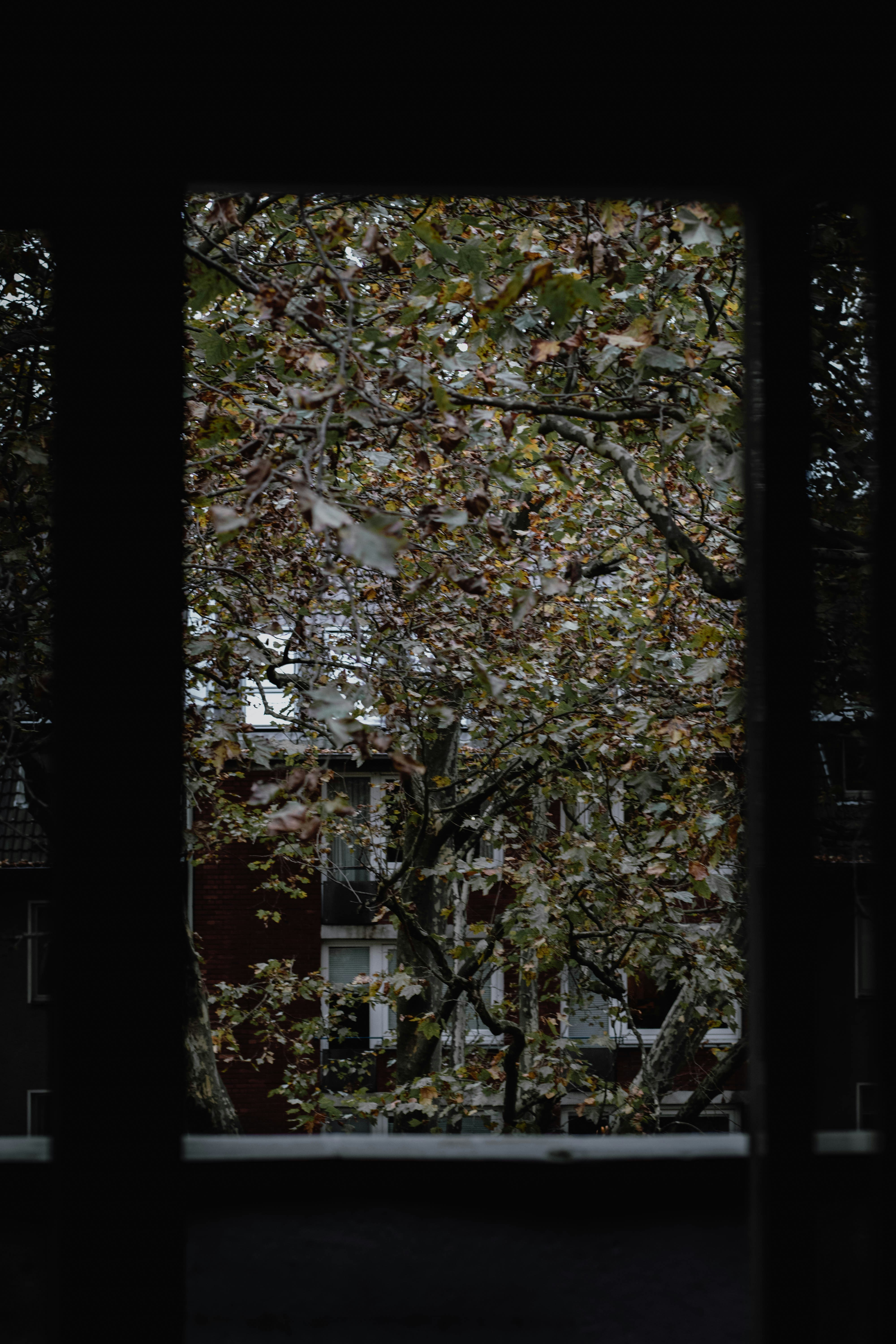 Photo by jamillatrach