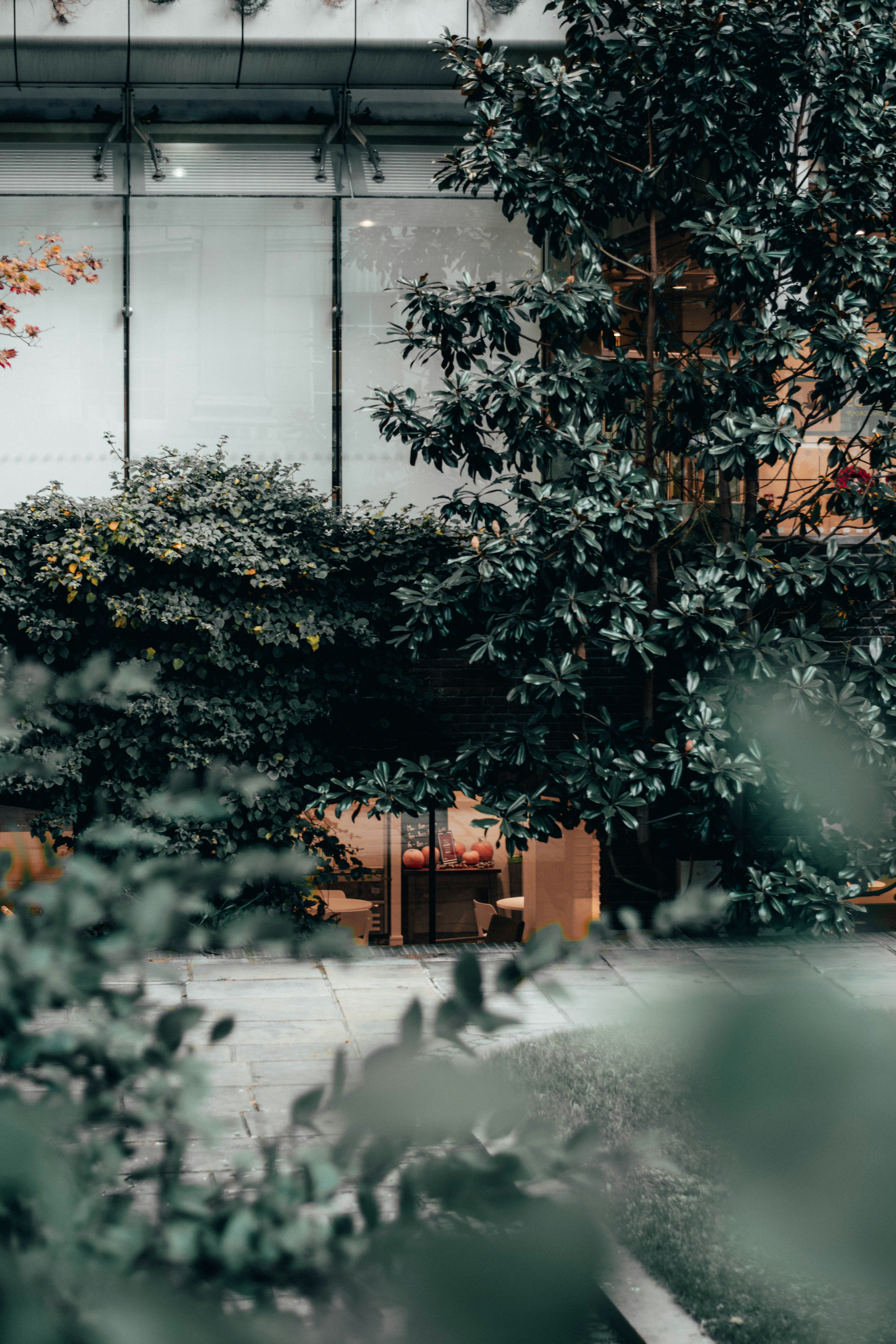 Photo by jamillatrach