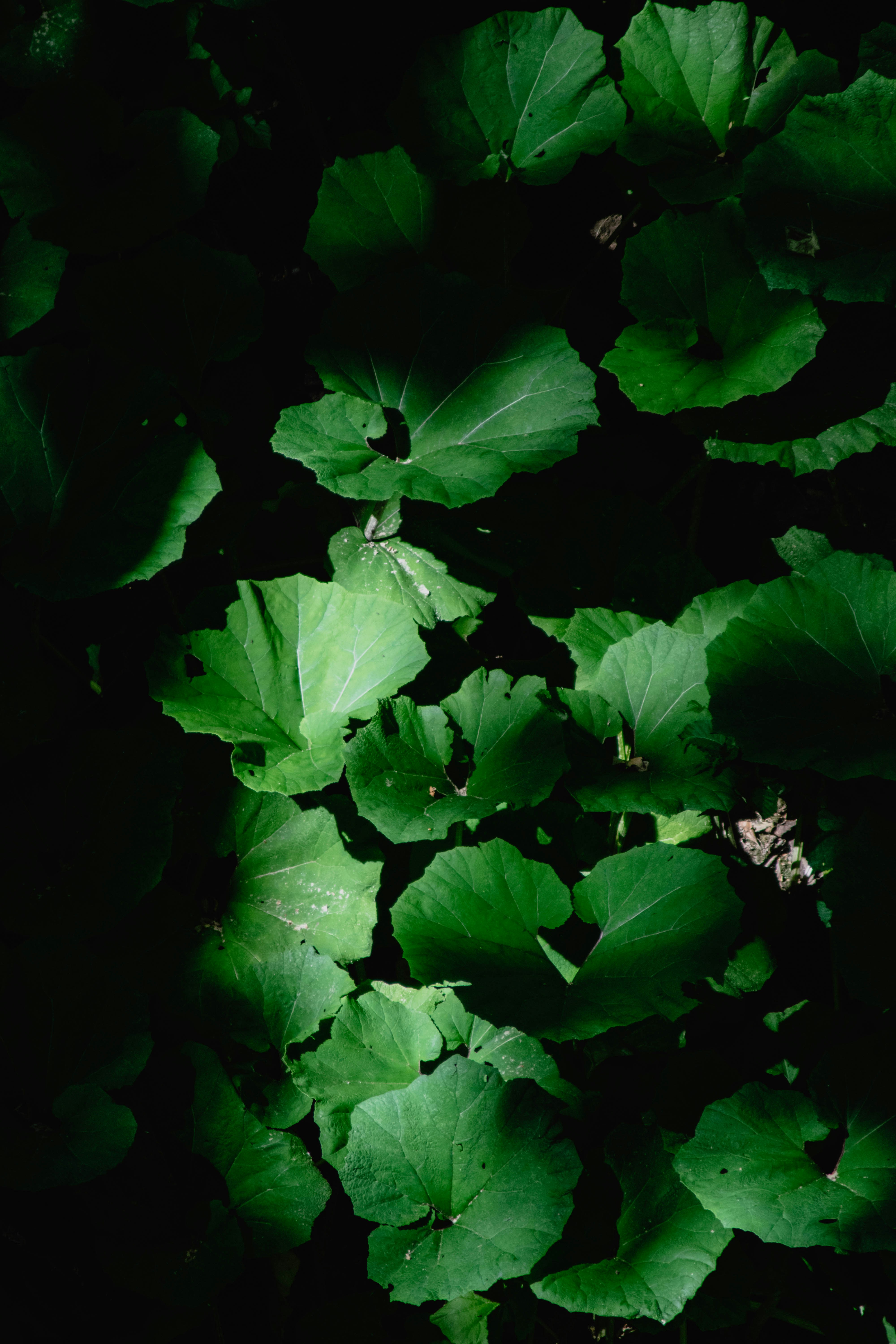 Photo by jamillatrach