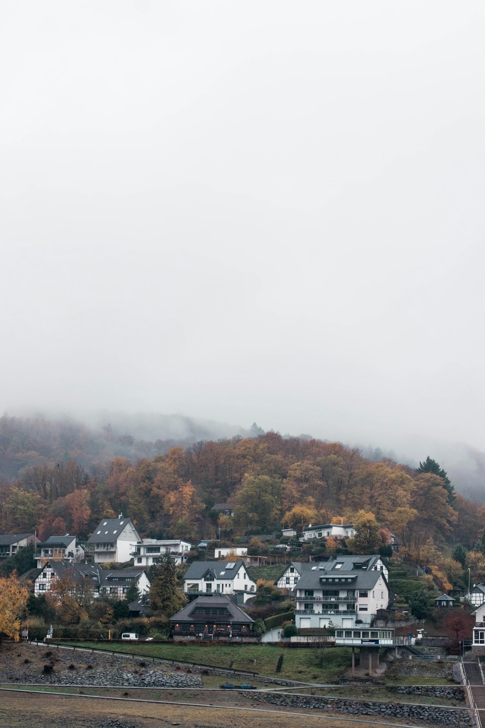 a group of houses in a wooded area