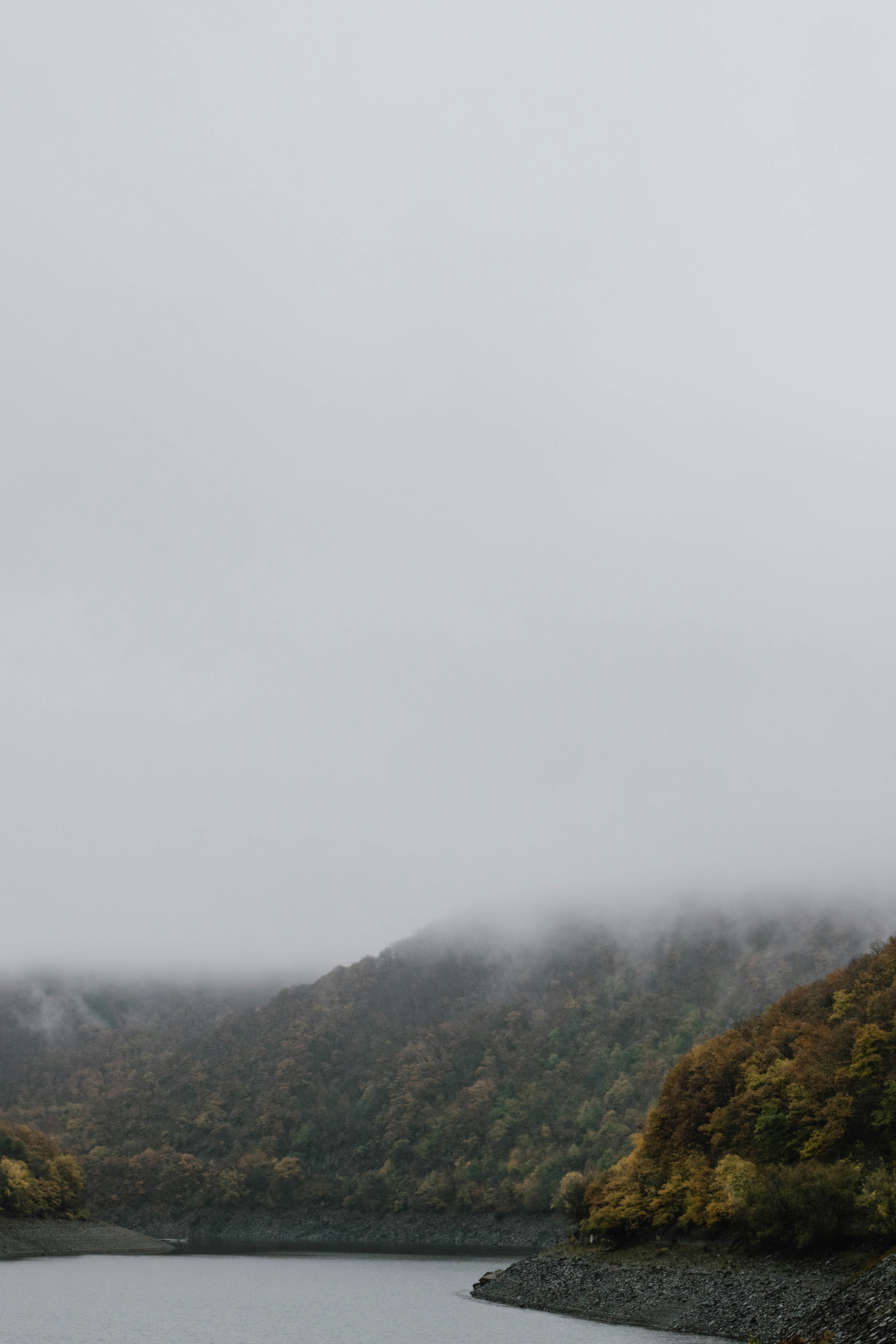 木々を背景に霧に覆われた山の写真 – Unsplashの壁紙の無料画像
