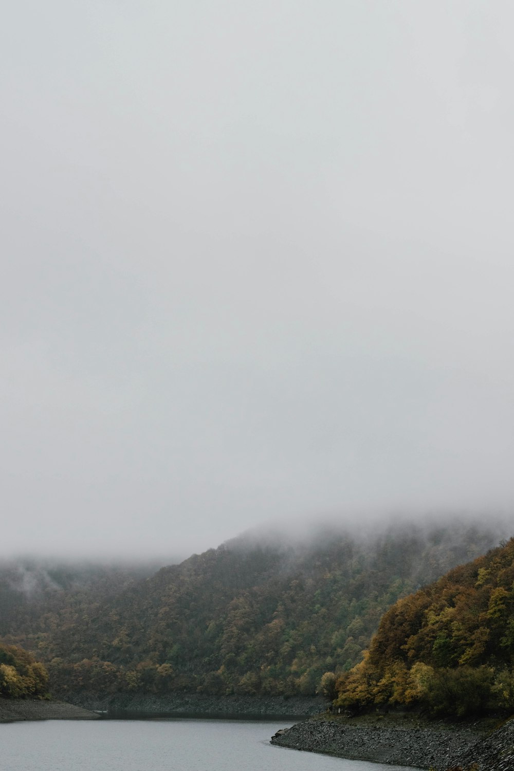 a body of water with trees and hills around it