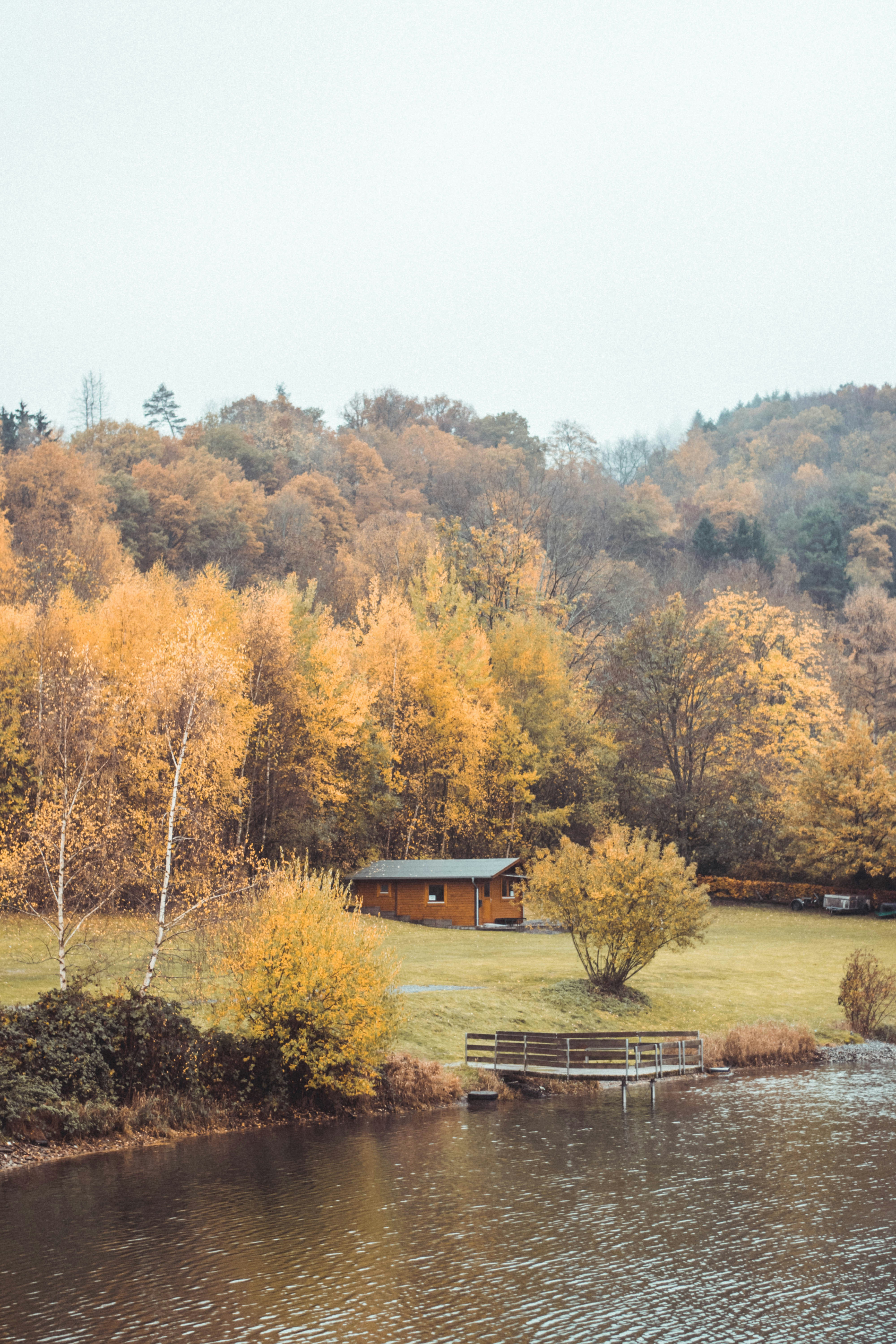 Photo by jamillatrach