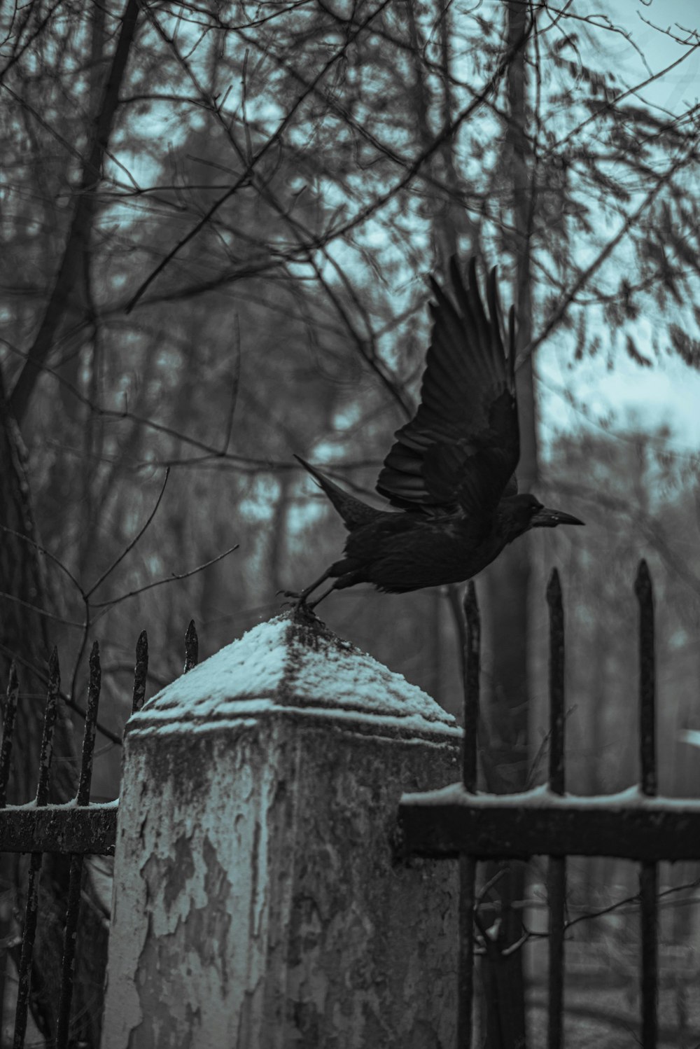a bird flying over a bird feeder