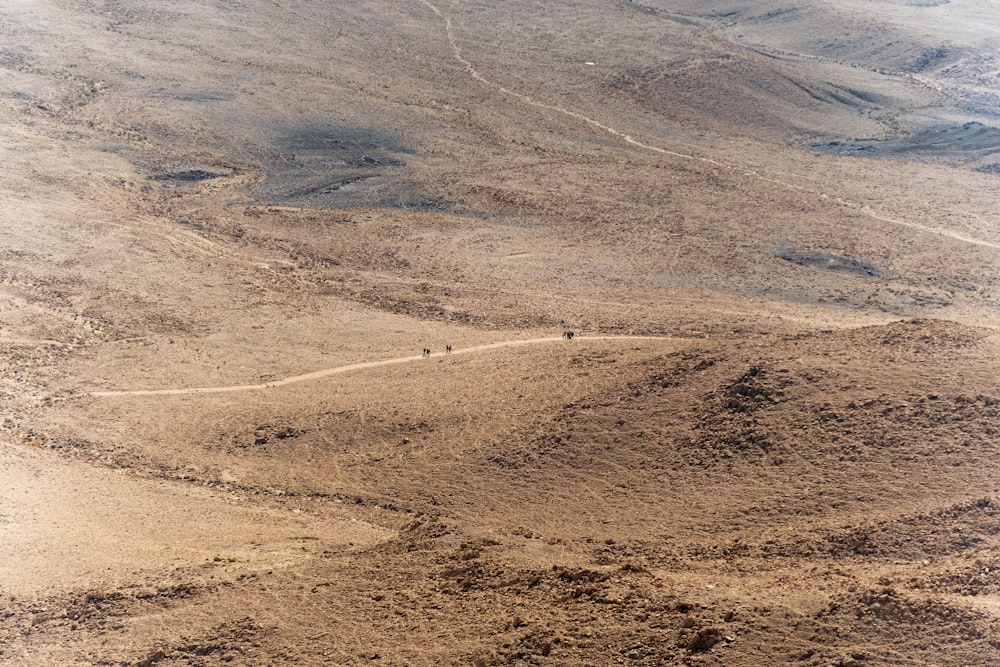 a dirt road in the desert