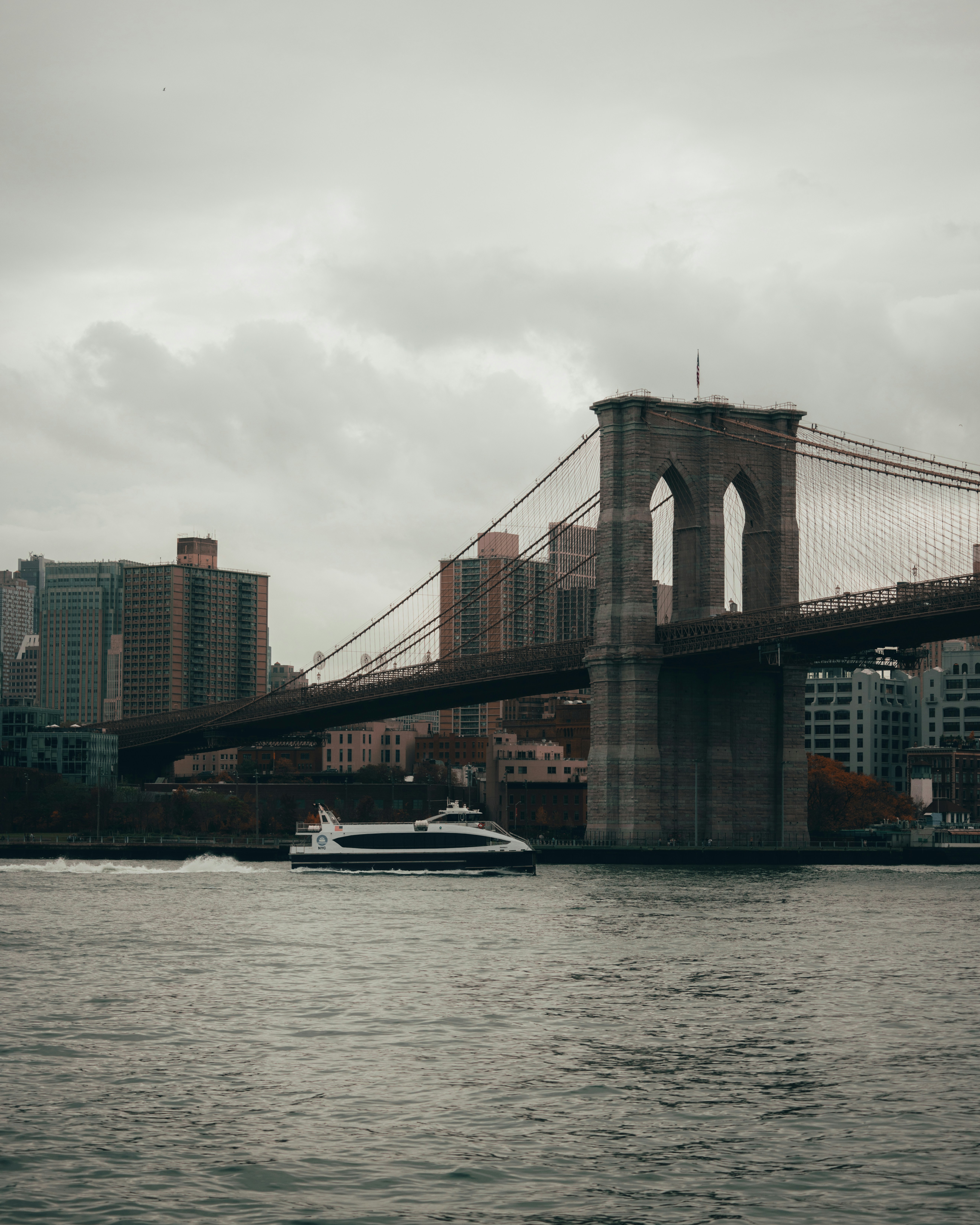 Photo by chalogallardo