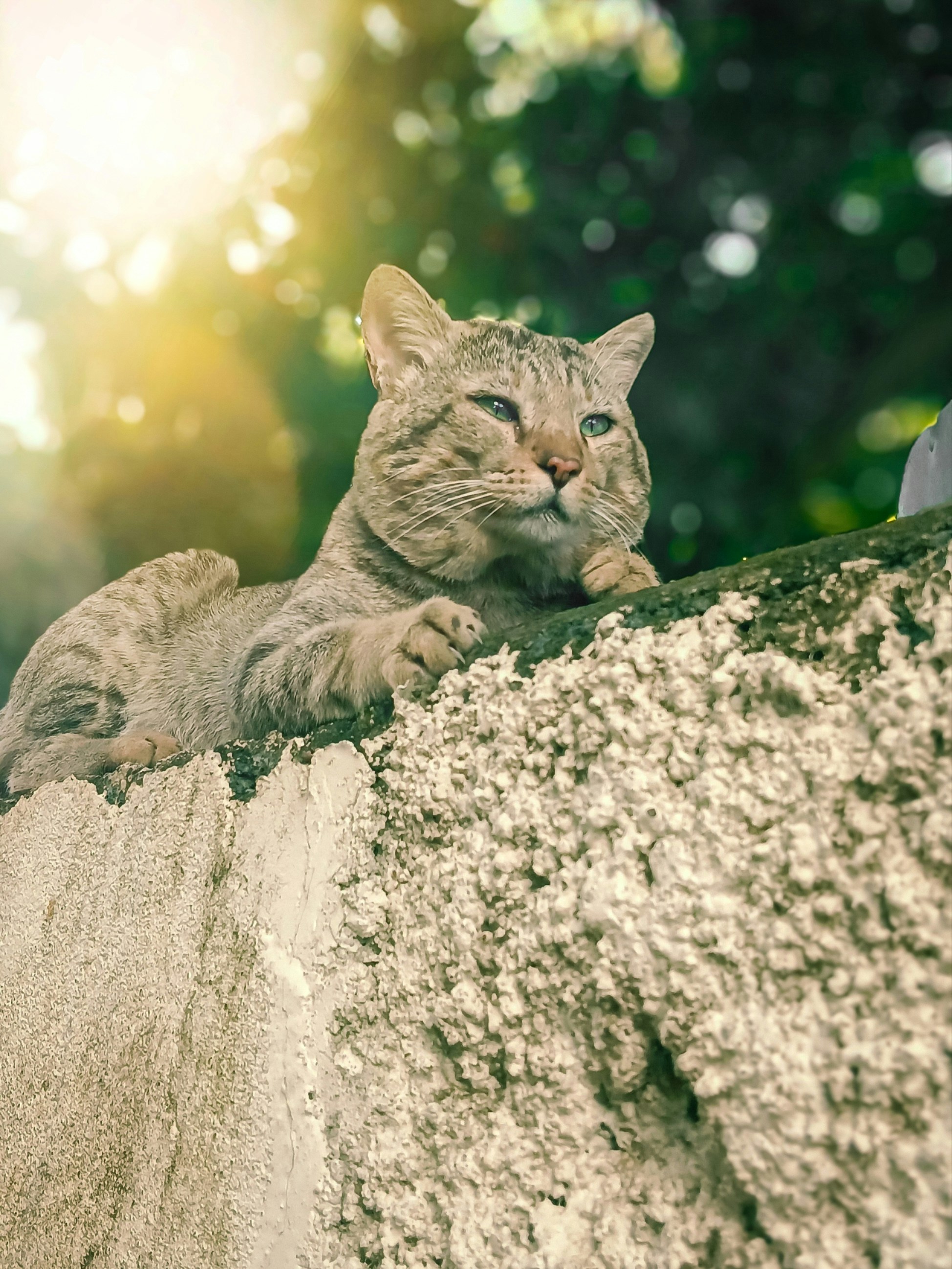 Photo by moinshaikh29