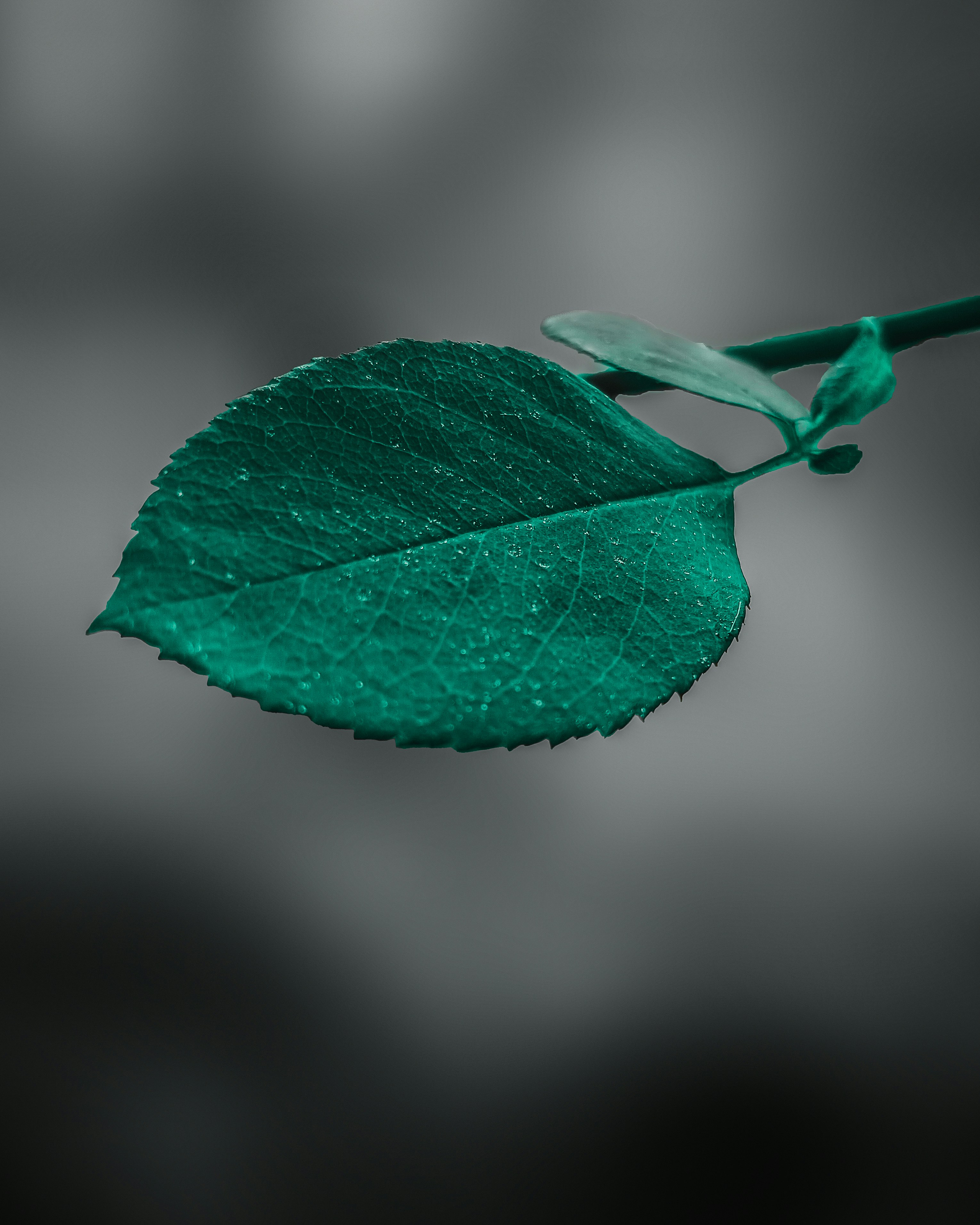 Photo by moinshaikh29