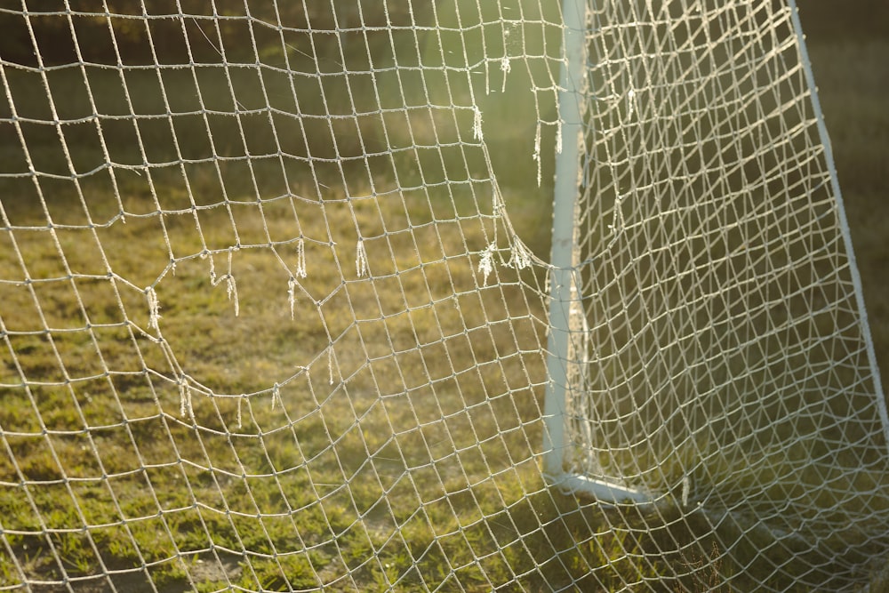 a close-up of a wire fence