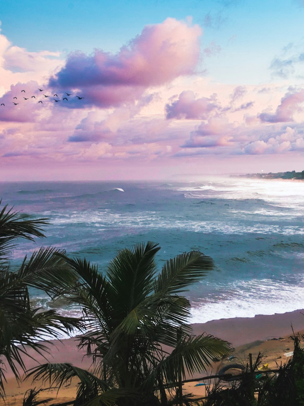 a tropical beach with palm trees