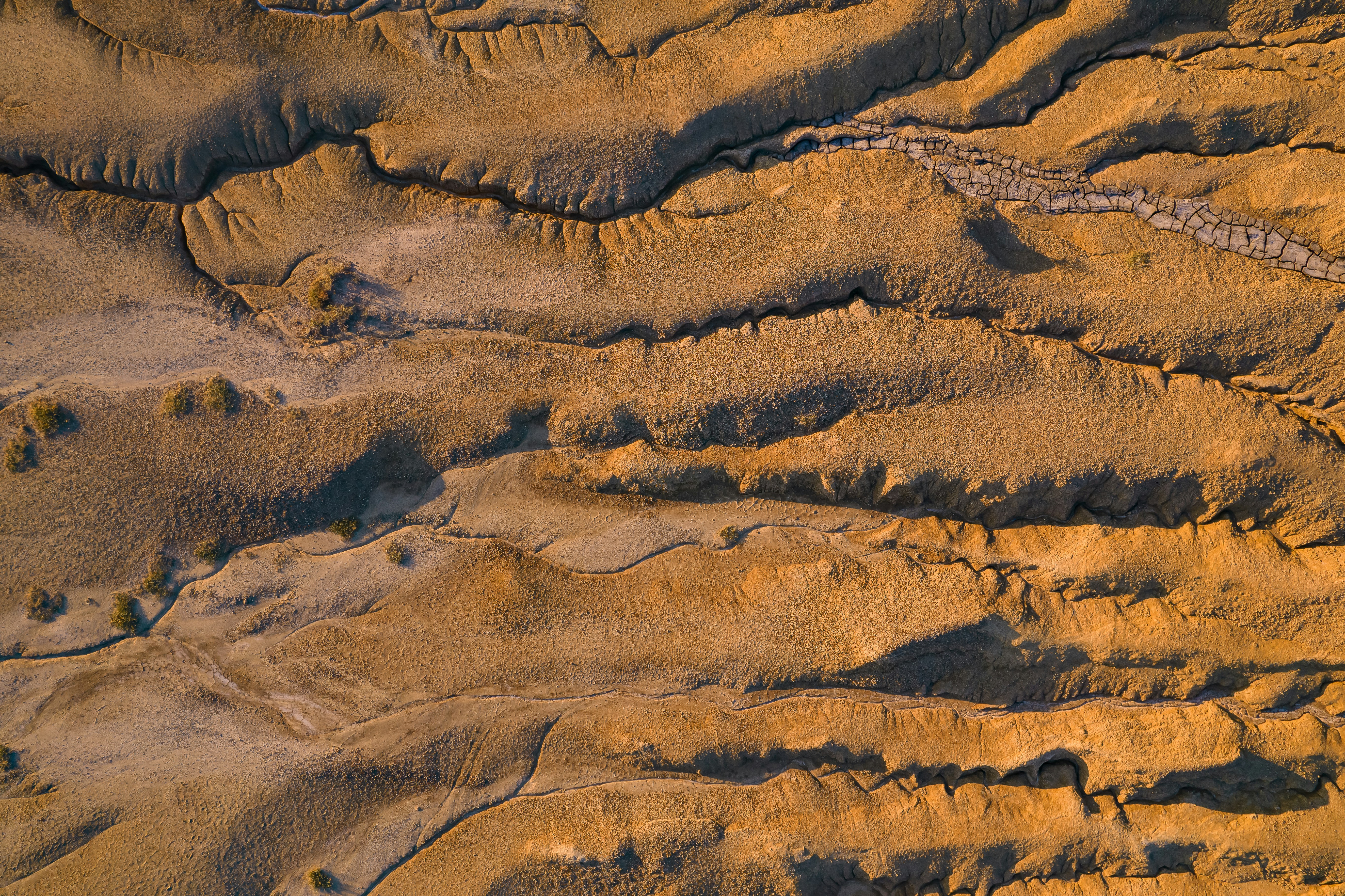 Photo by mihai_respira