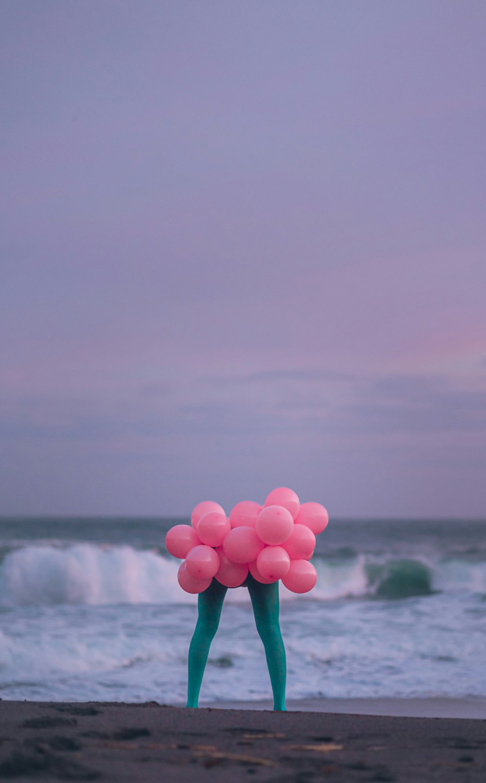 a pink flower on a beach