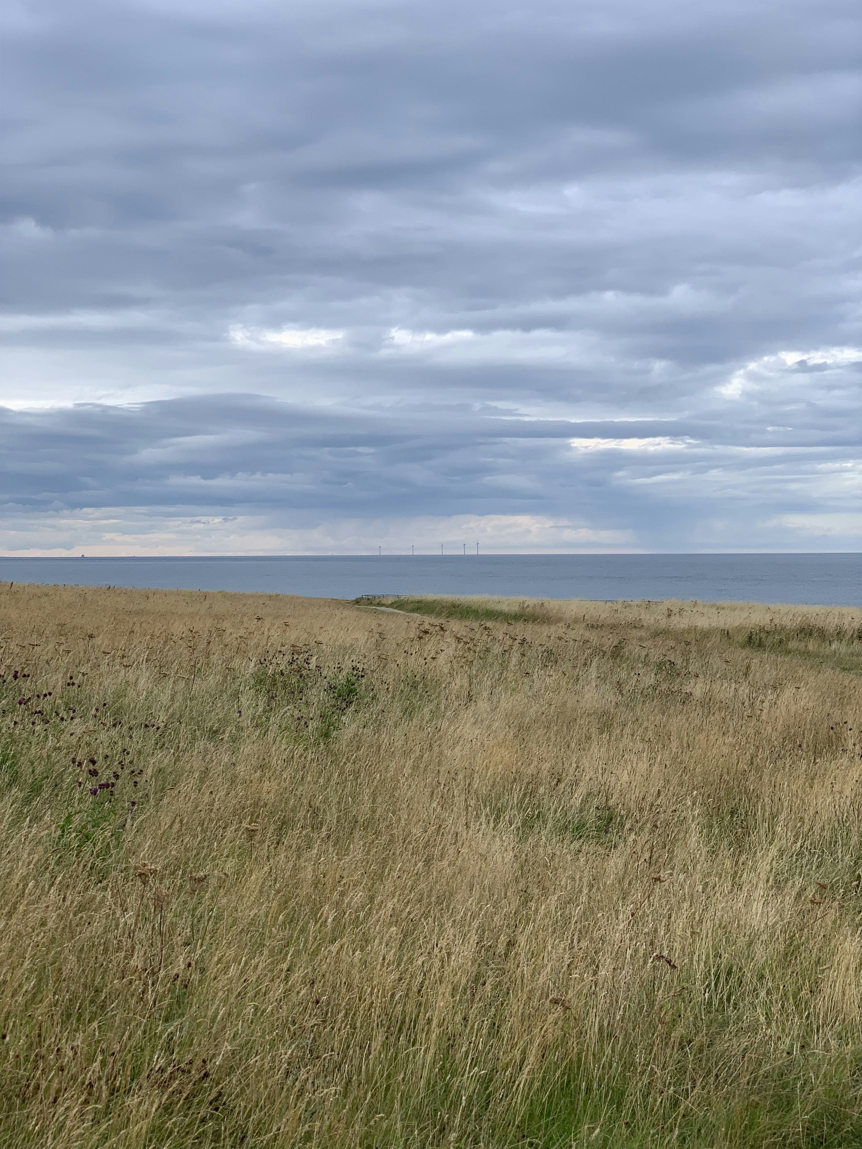 Photo by eugenebokhan