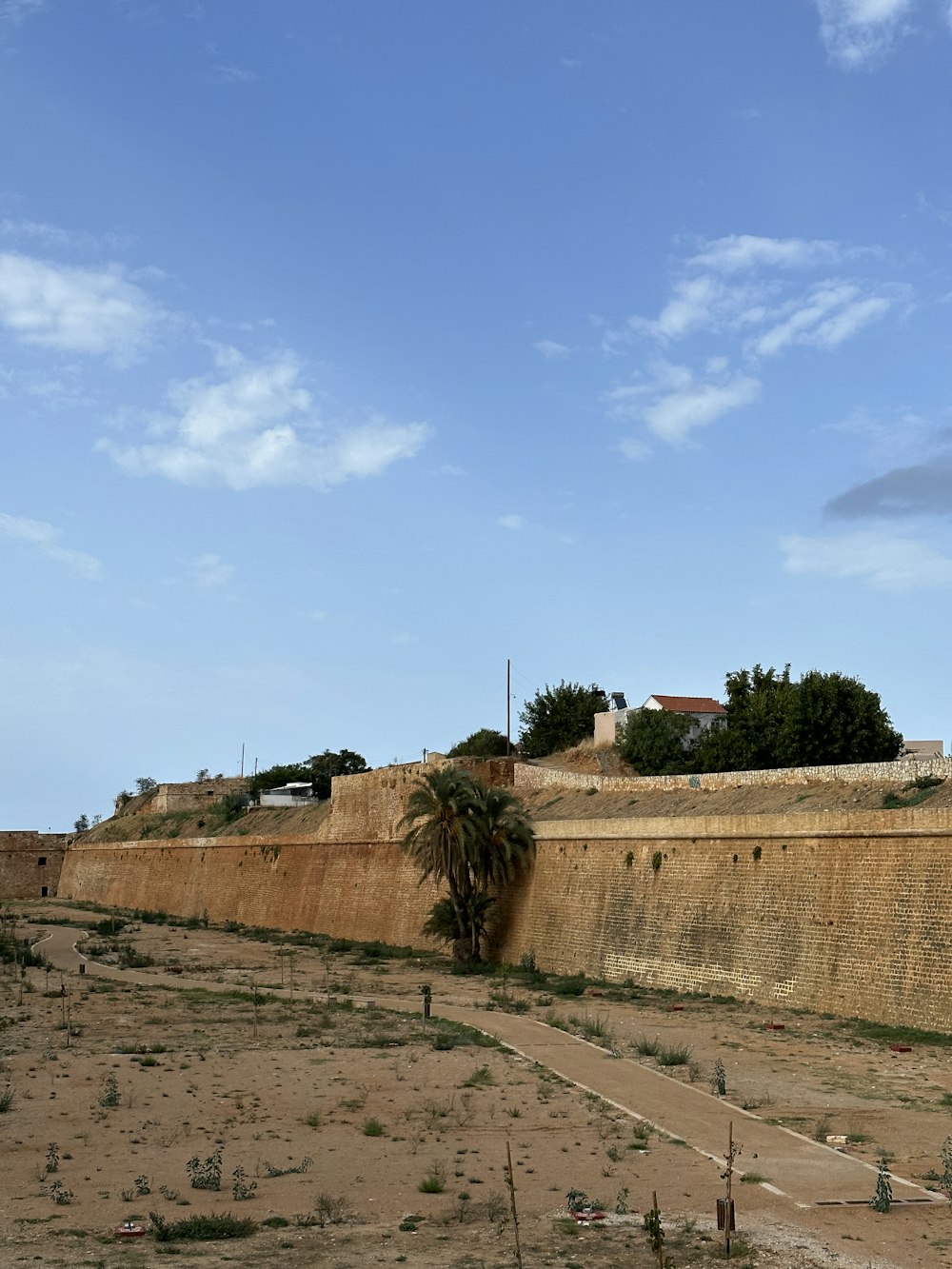 a wall with a tree and a building in the background