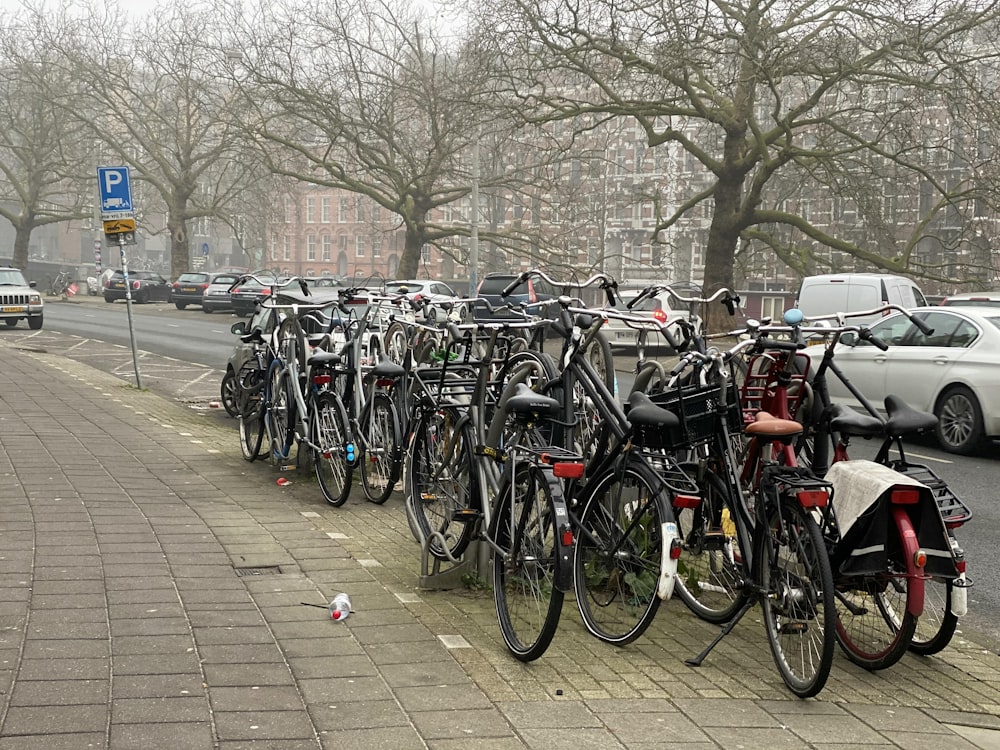 a large group of bicycles are parked on a sidewalk