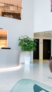 a plant in a pot in a room with a glass wall