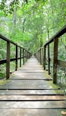 a wooden bridge in the woods