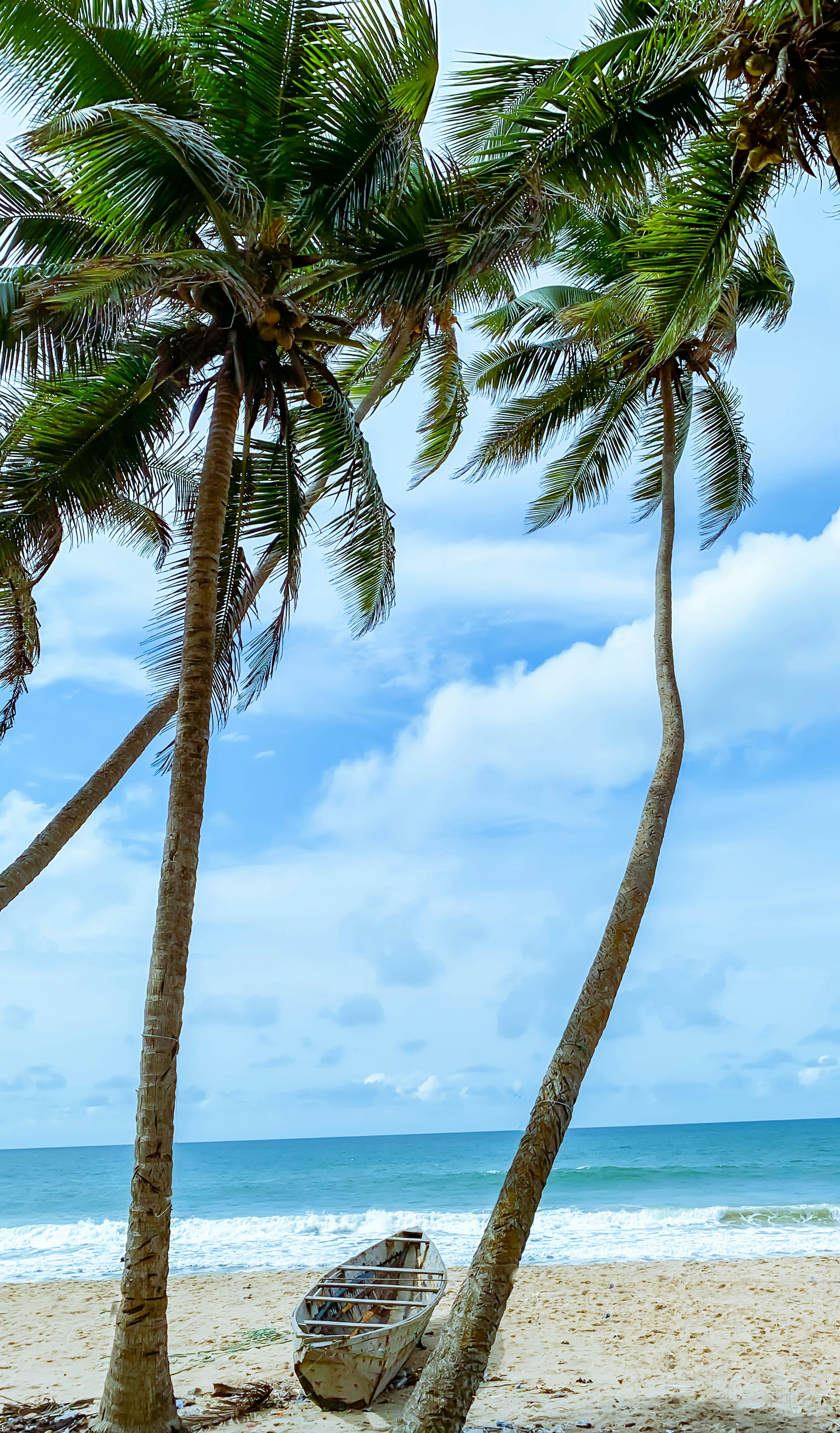 Photo by brightoferanmi