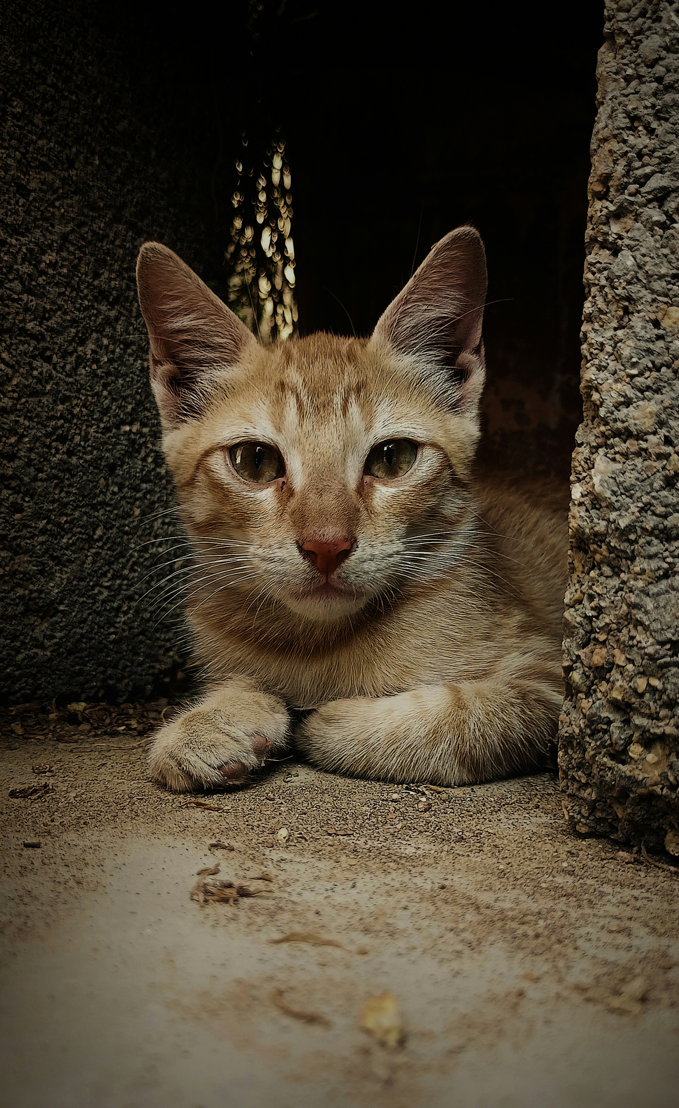 Photo by just_random_clicks