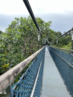 a long metal bridge